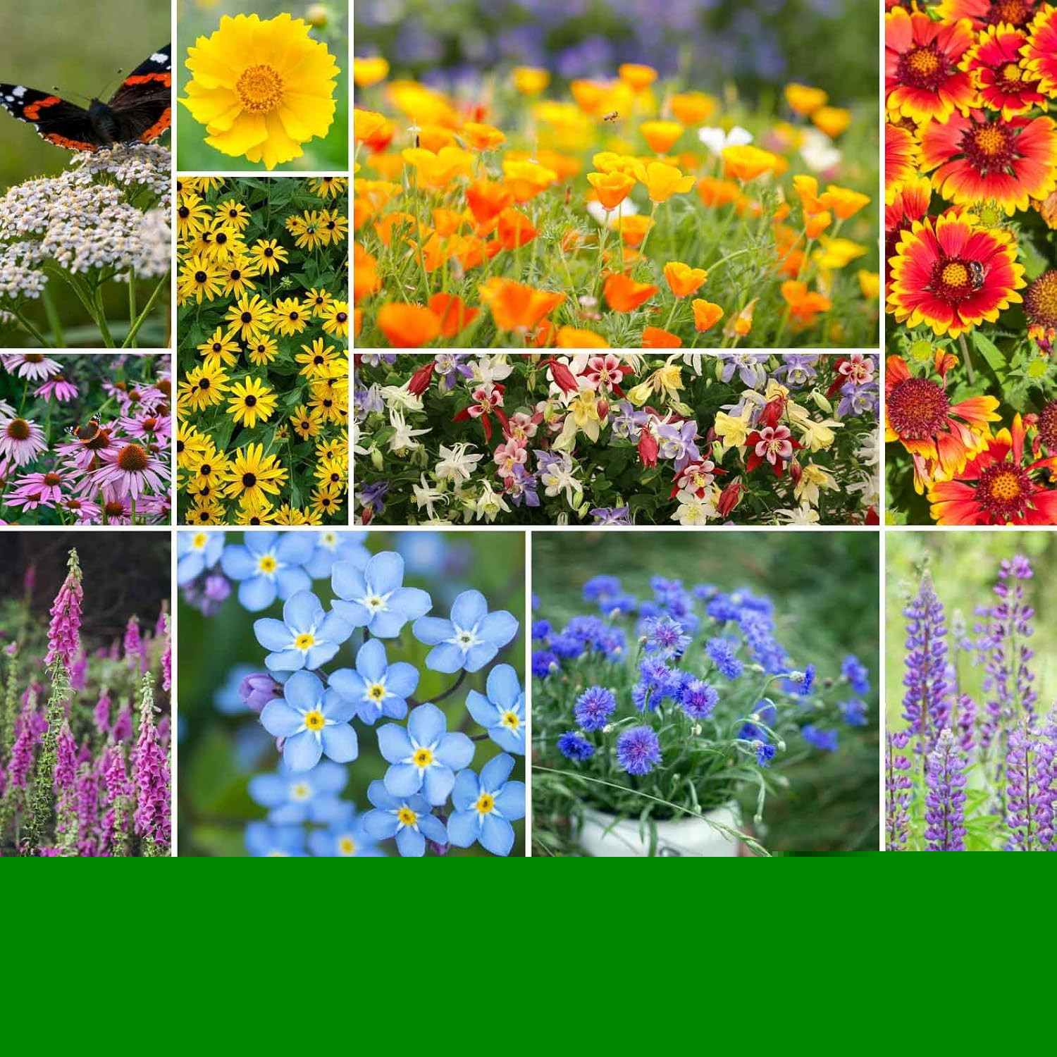 Deer Resistant Wildflower Mixed Seeds for Planting, 1 Lb, 480,000+ Seeds with Fo