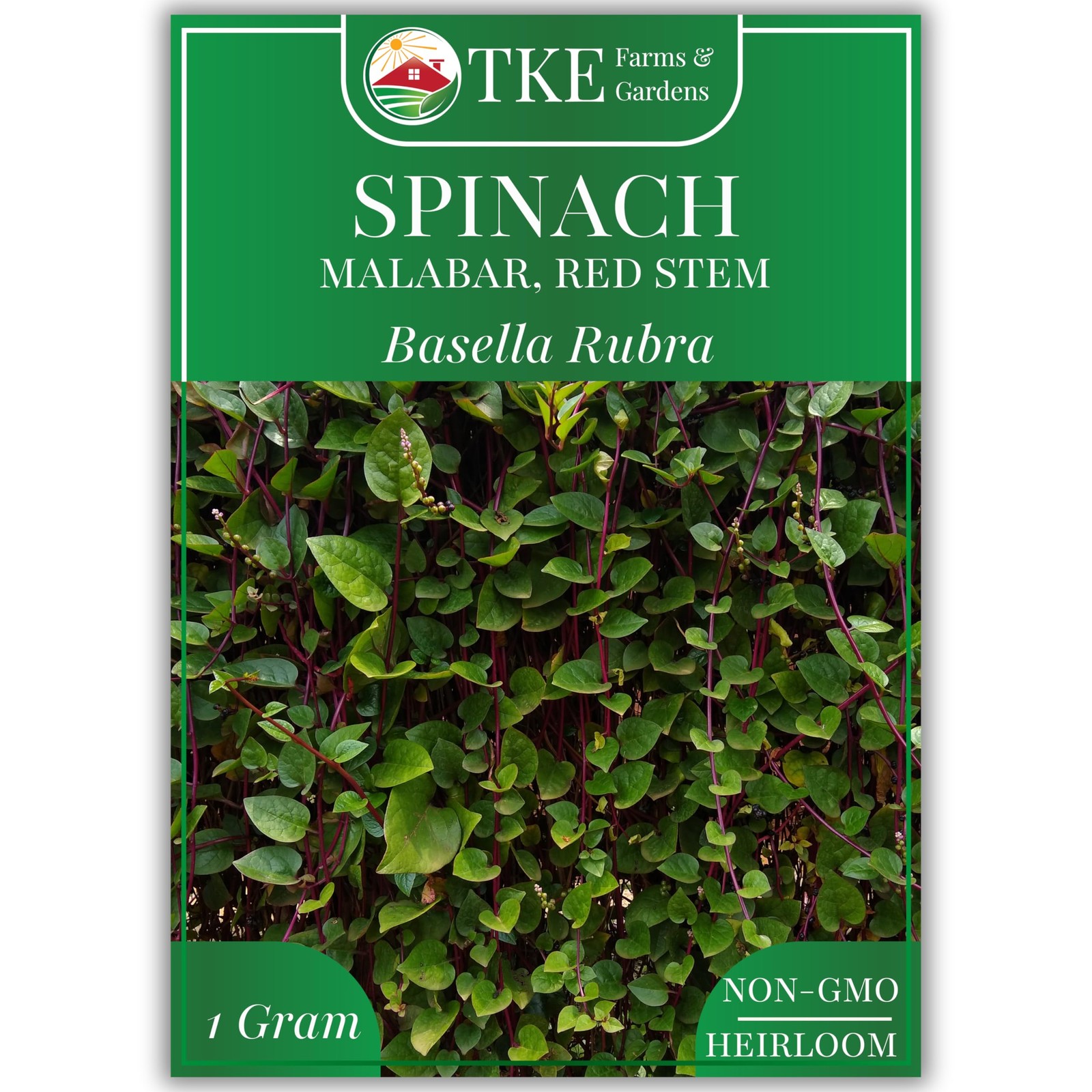Red Malabar Spinach Seeds for Planting, Heirloom NonGMO Climbing Spinach, Nu…