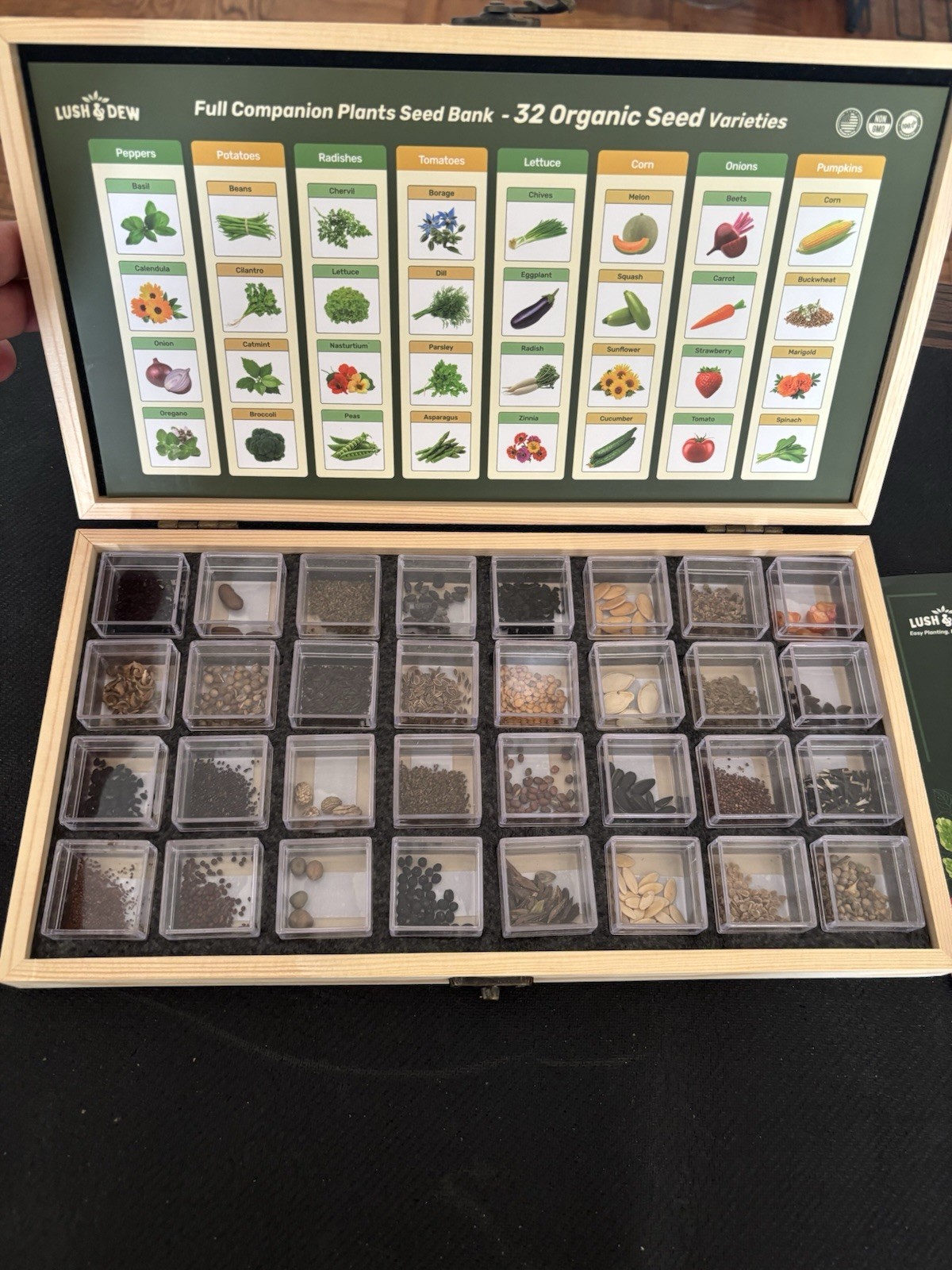 32 Organic Seeds with Grow Guide Step by Step Easy to Follow Summer Collection