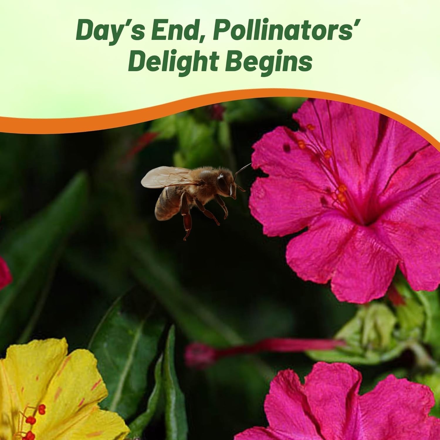 Deer-Proof Perennial Seeds – Colorful Trumpet-Shaped Flowers