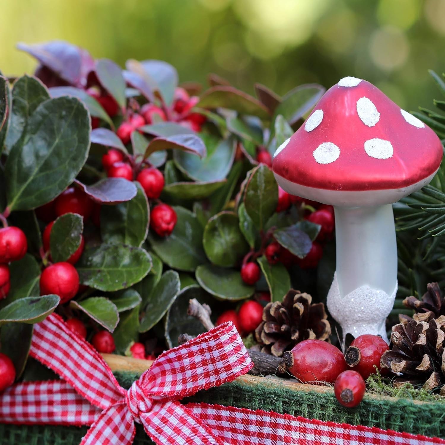 Wintergreen Seeds – 500 Pcs. Perennial, Cold-Tolerant & Low Maintenance, Grou…