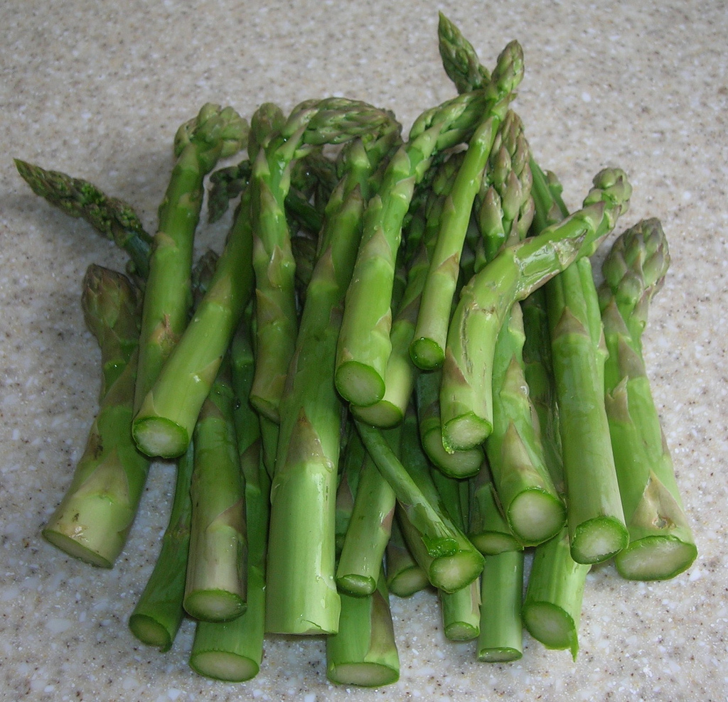 asparagus, MARY WASHINGTON, perennial, 110 seeds! GroCo