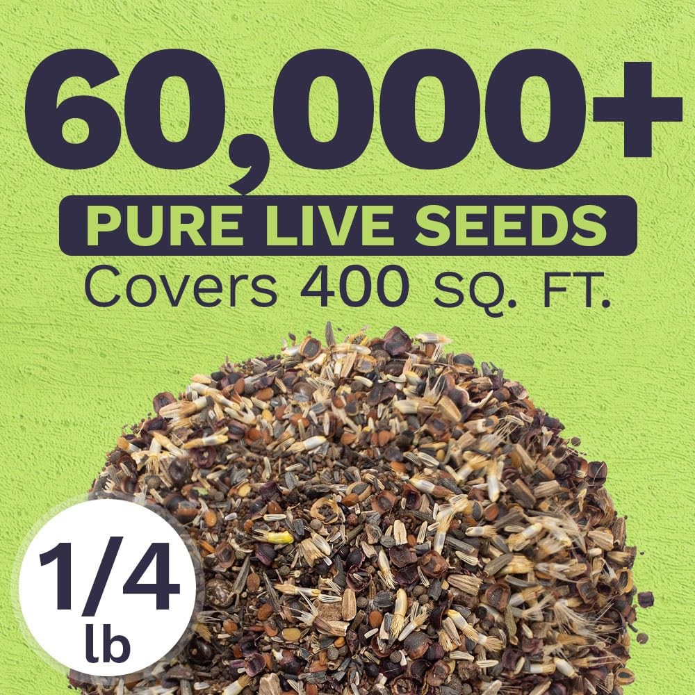 Deer Resistant Wildflower Seed Mixture – Bulk 1/4 Pound Bag – Over 60,000 Dee…
