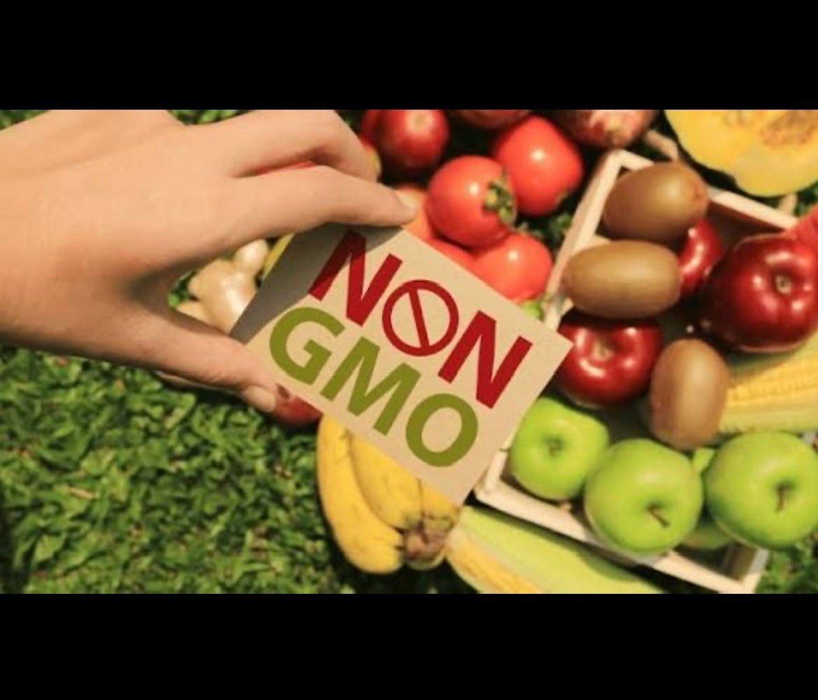 Genovese Basil Seeds 🍀| NON-GMO Basil Seeds | Fresh Heirloom Garden Seeds📍100+
