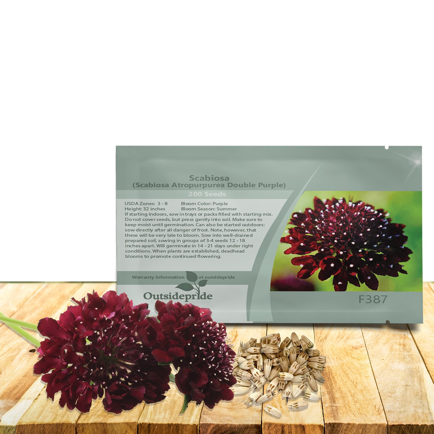 200 Seeds Scabiosa Purple Pincushion Drought Tolerant Garden Flower Plant Seed