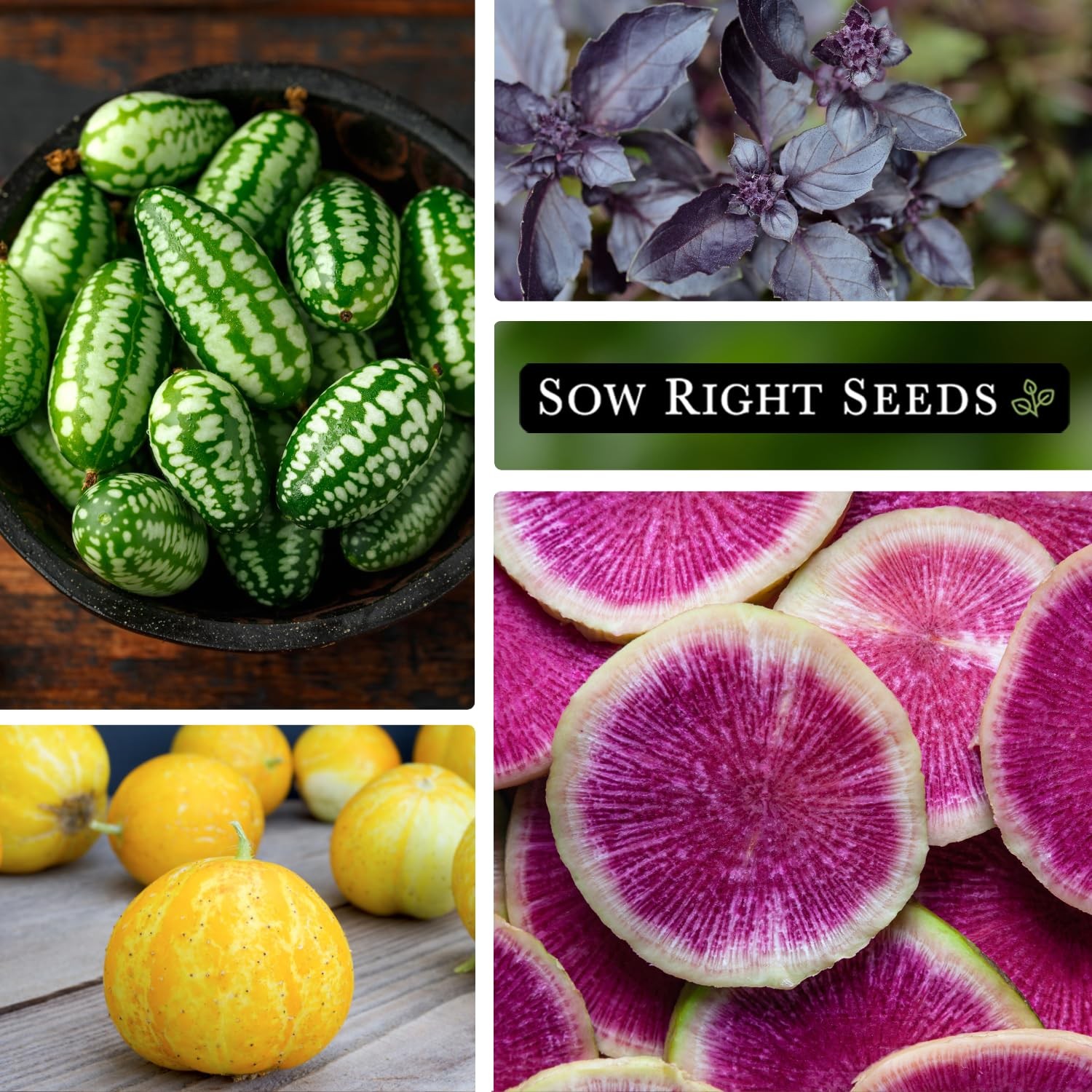 Rare Exotic Vegetable Seed Collection NonGMO Heirloom Seeds for Planting