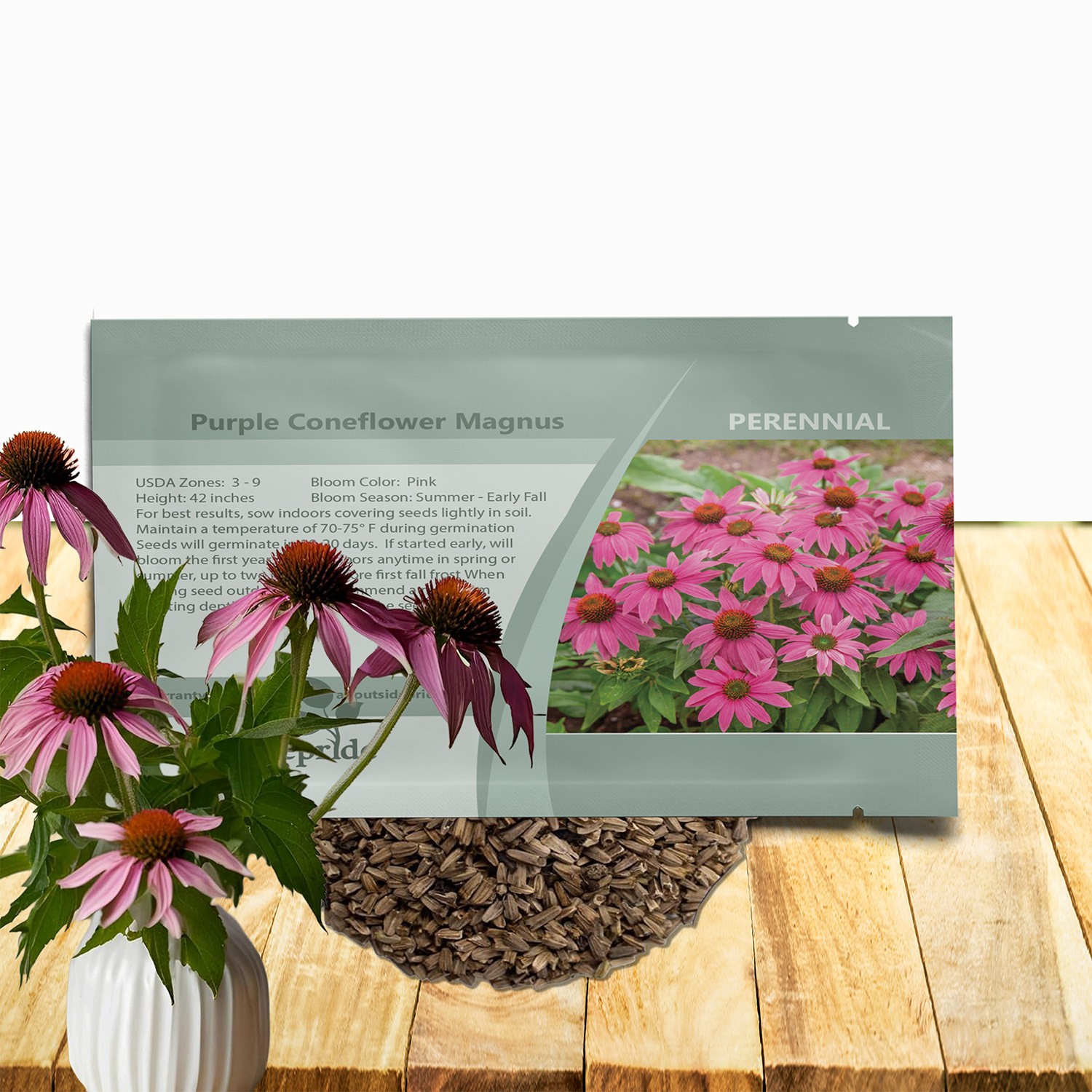 50 Seeds Purple Coneflower Echinacea Purpurea Magnus Garden Flower With