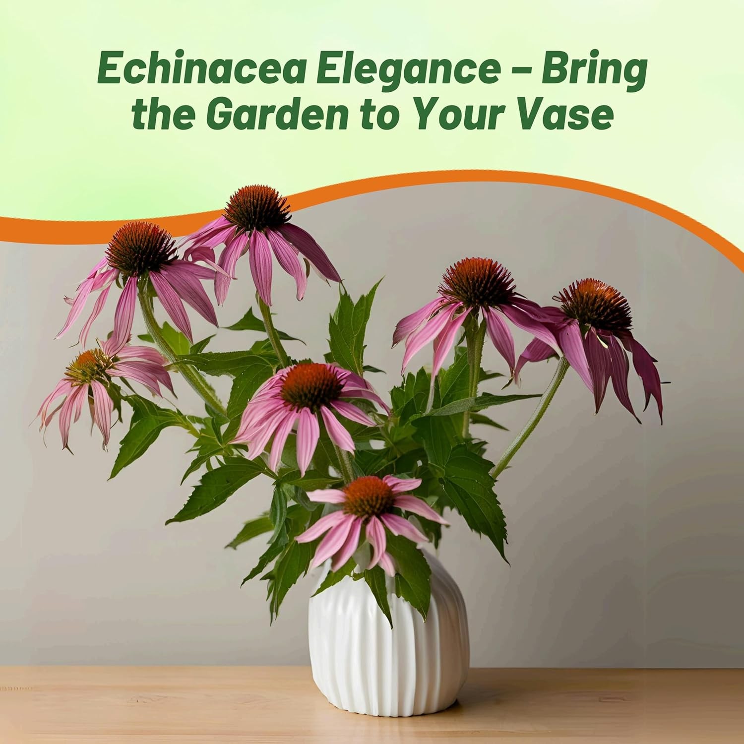 50 Seeds Purple Coneflower Echinacea Purpurea Magnus Garden Flower With