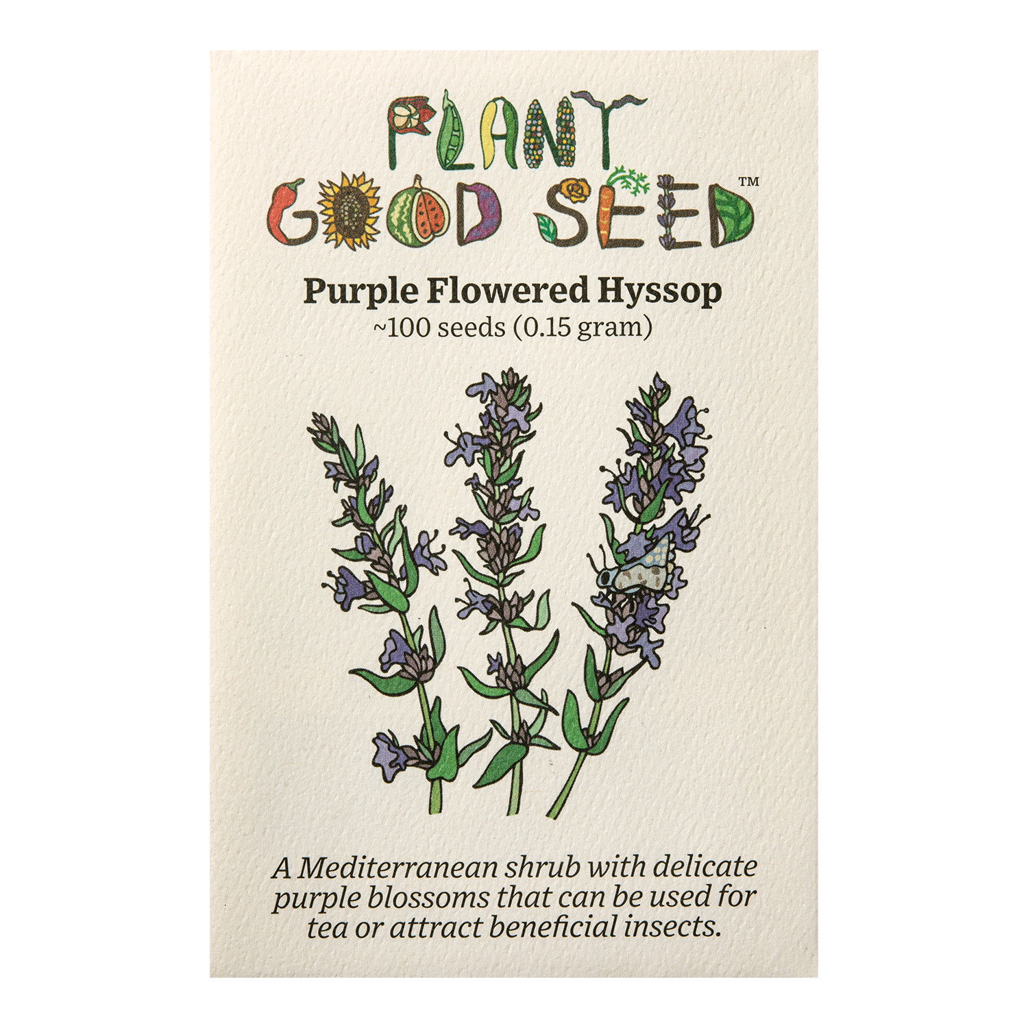 Purple Flowered Hyssop Seeds