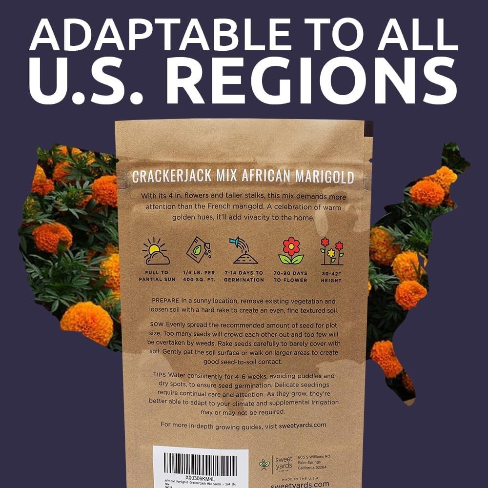 African Marigold Seeds Crackerjack Mix – Bulk 1/4 Pound Bag – Over 40,000 See…