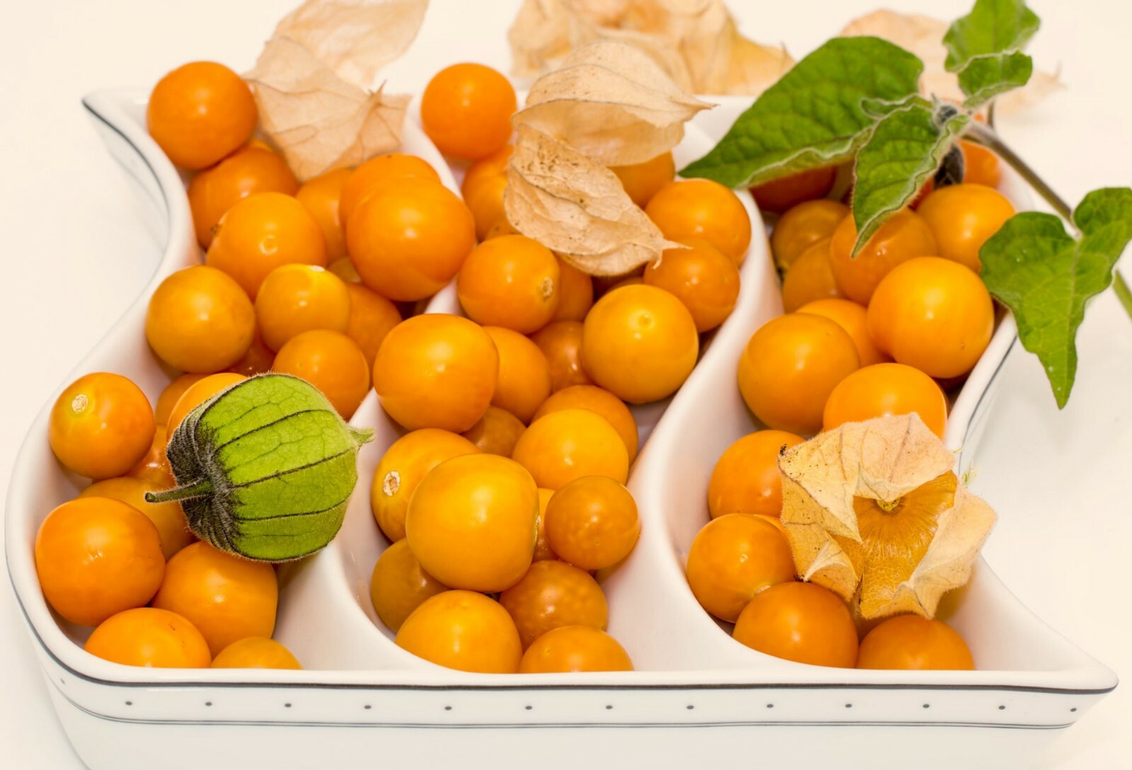 Ground Cherry Seeds ~Physalis Peruviana~ Cape Gooseberry Inca Berry Golden Berry