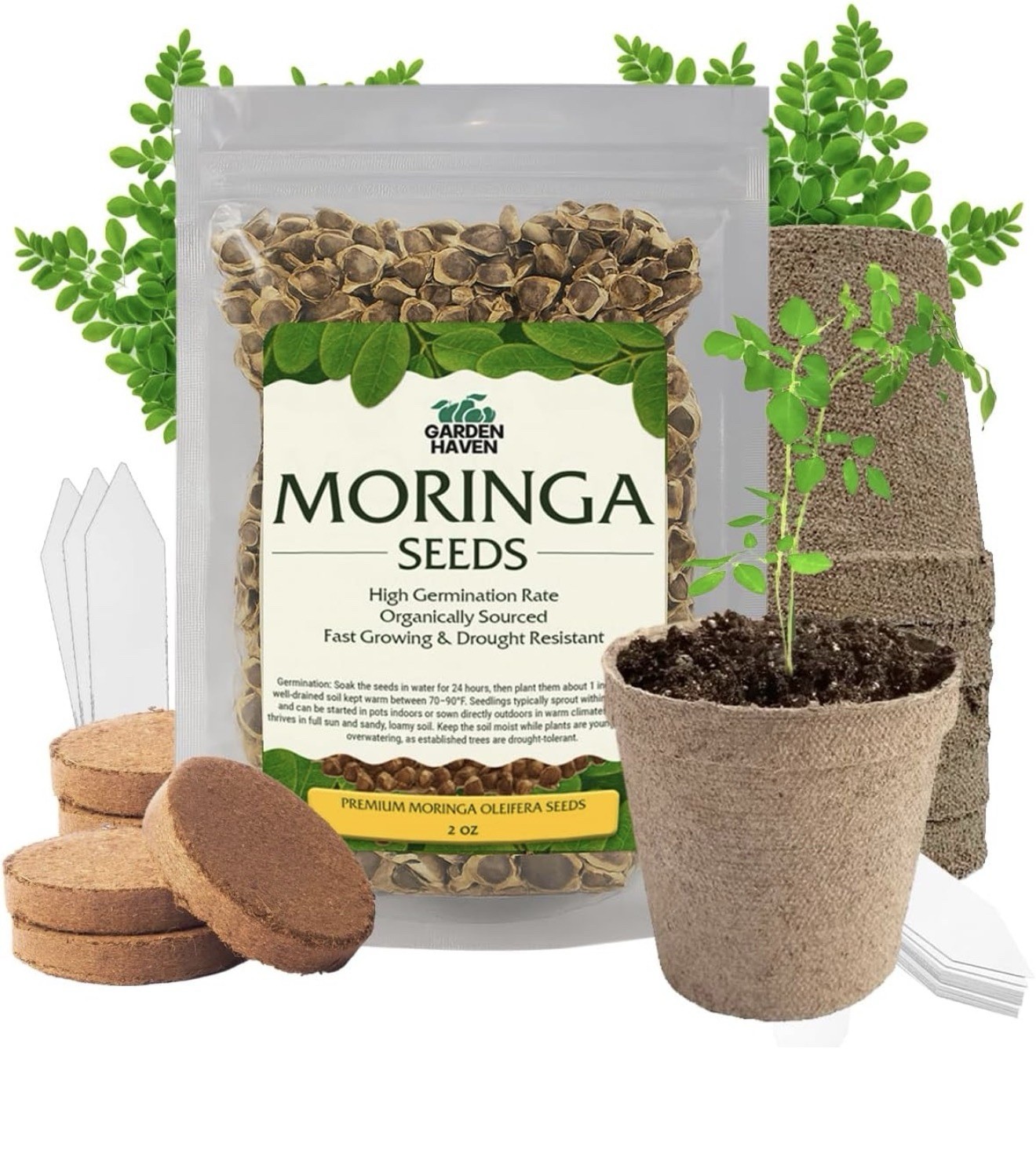 Moringa Oleifera Growing Kit, Moringa Seeds Complete Starter Set… 2 oz Seeds,