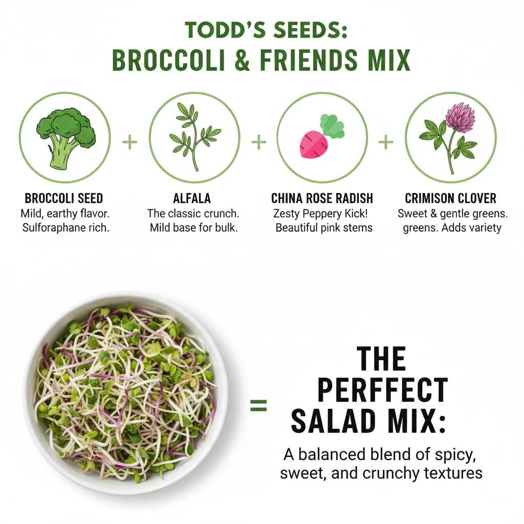 Broccoli & Friends Sprouting Mix, 1/2 lb – Non-GMO