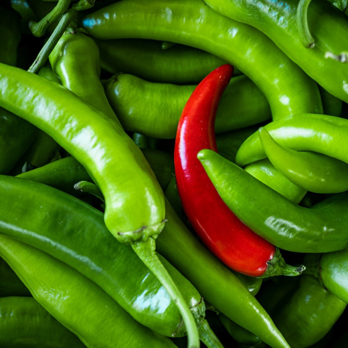 1/4 Lb Serrano Hot Pepper Seeds – Everwilde Farms Mylar Seed Packet