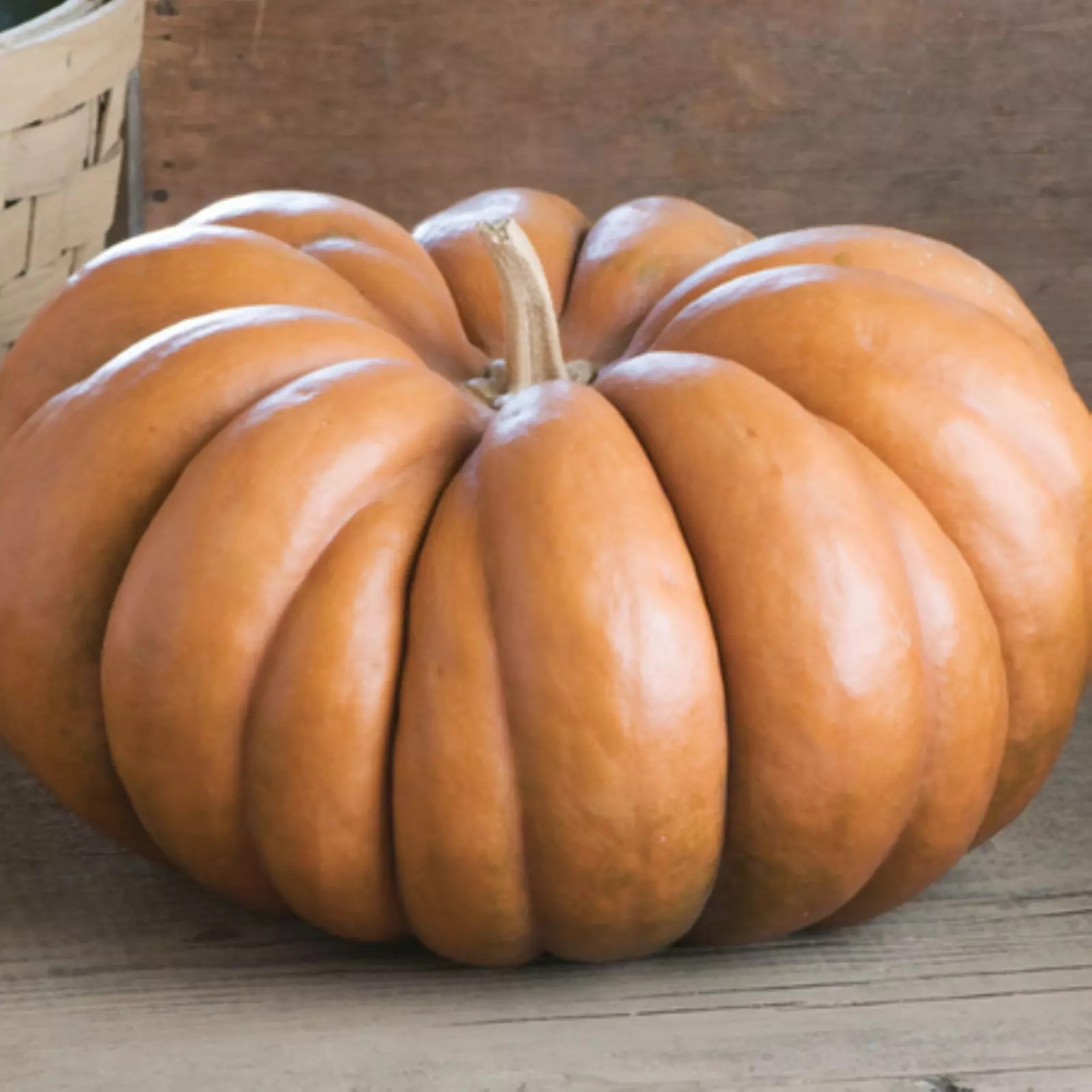 30 Fairytale Pumpkin Seeds — French Cooking Pumpkin — NON GMO — HEIRLOOM