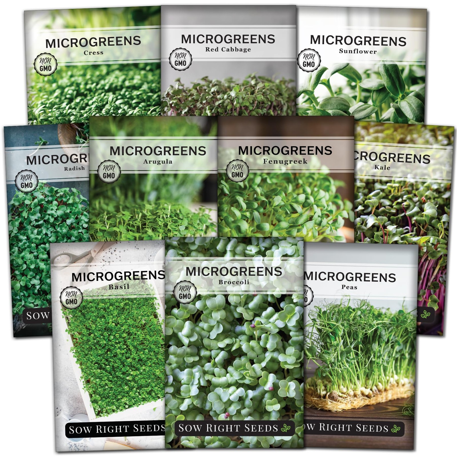 Large Microgreens Seed Collection 10 Superfood Varieties for Indoor Gardening