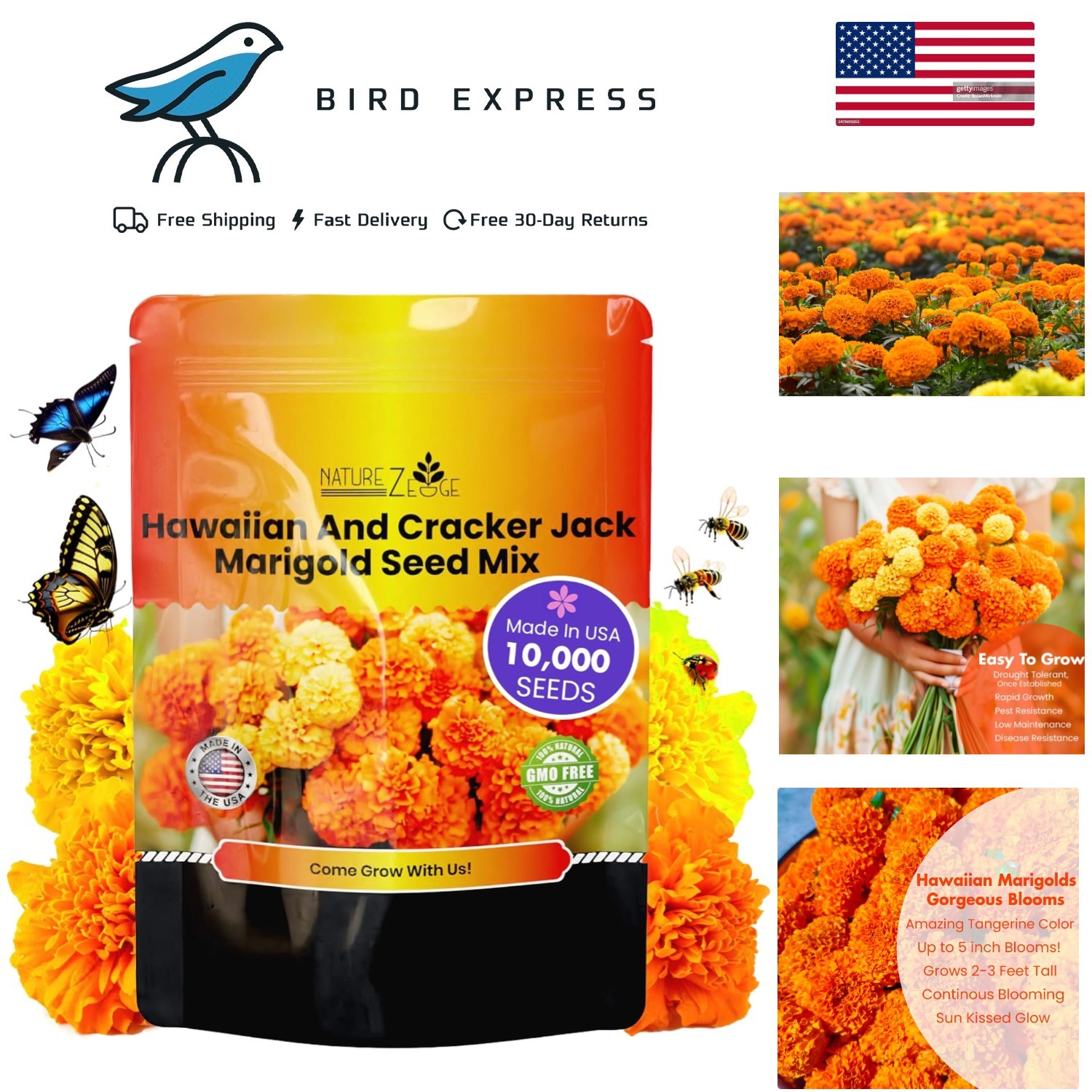 Marigold Seeds Bulk 10,000 Hawaiian and Cracker Jack for Outdoor Gardening