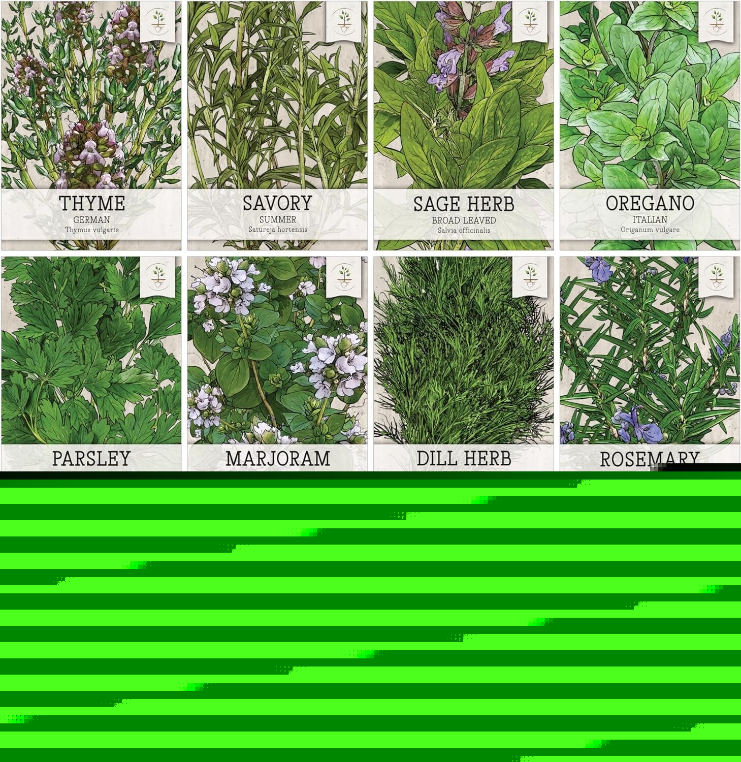 Herb Seeds Variety Pack Culinary Herb Collection (12 Individual Herbs for P