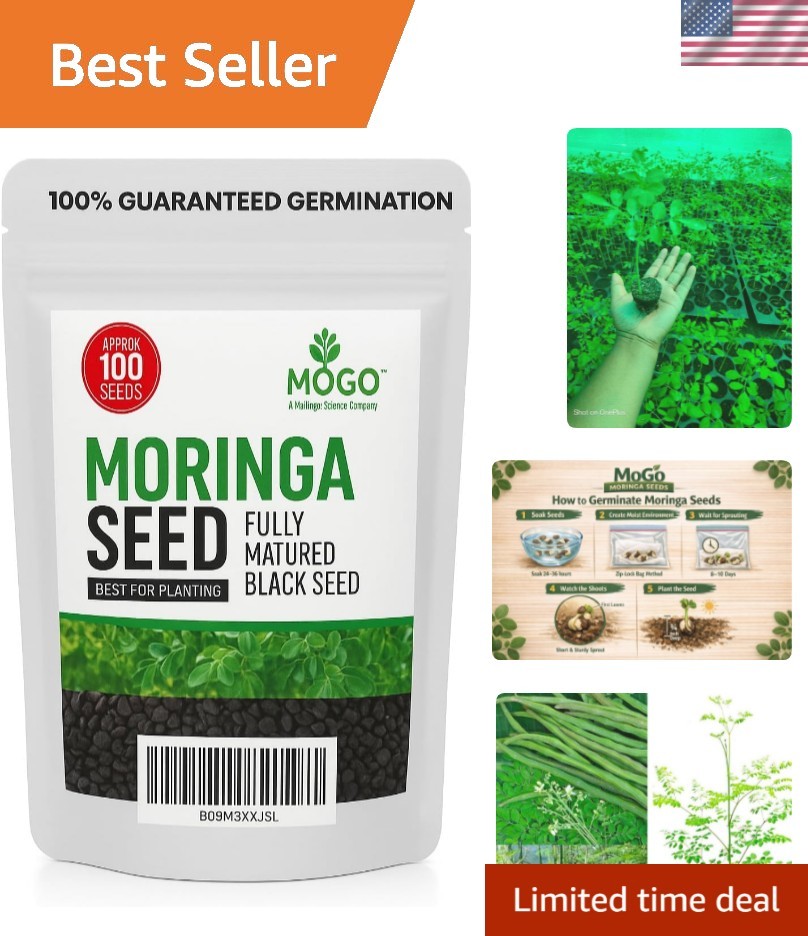 100 Moringa Seeds Approx | Moringa Seeds for Planting | Edible, Excellent Ger…