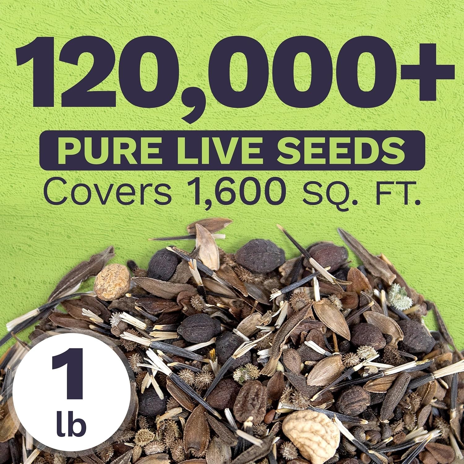 Wildflower Seeds Mix – 1lb Bag, 120K Seeds
