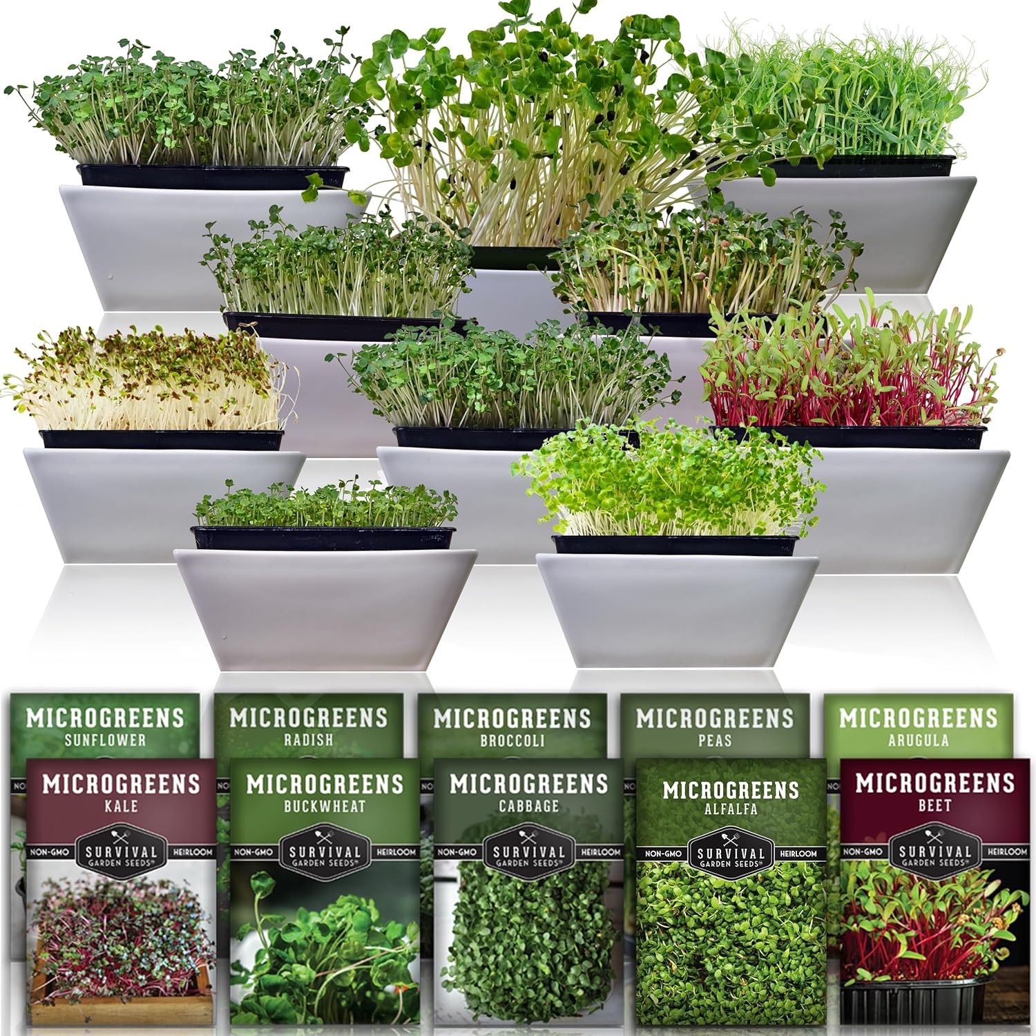 Microgreen Seeds Variety Pack – 10 Heirloom Types for Indoor Sprouting – Bro