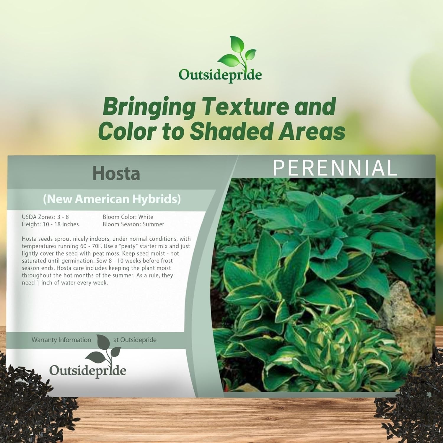 Low Maintenance Hosta Seeds – 50 Pcs. for Shade Gardens with -Round Elegance