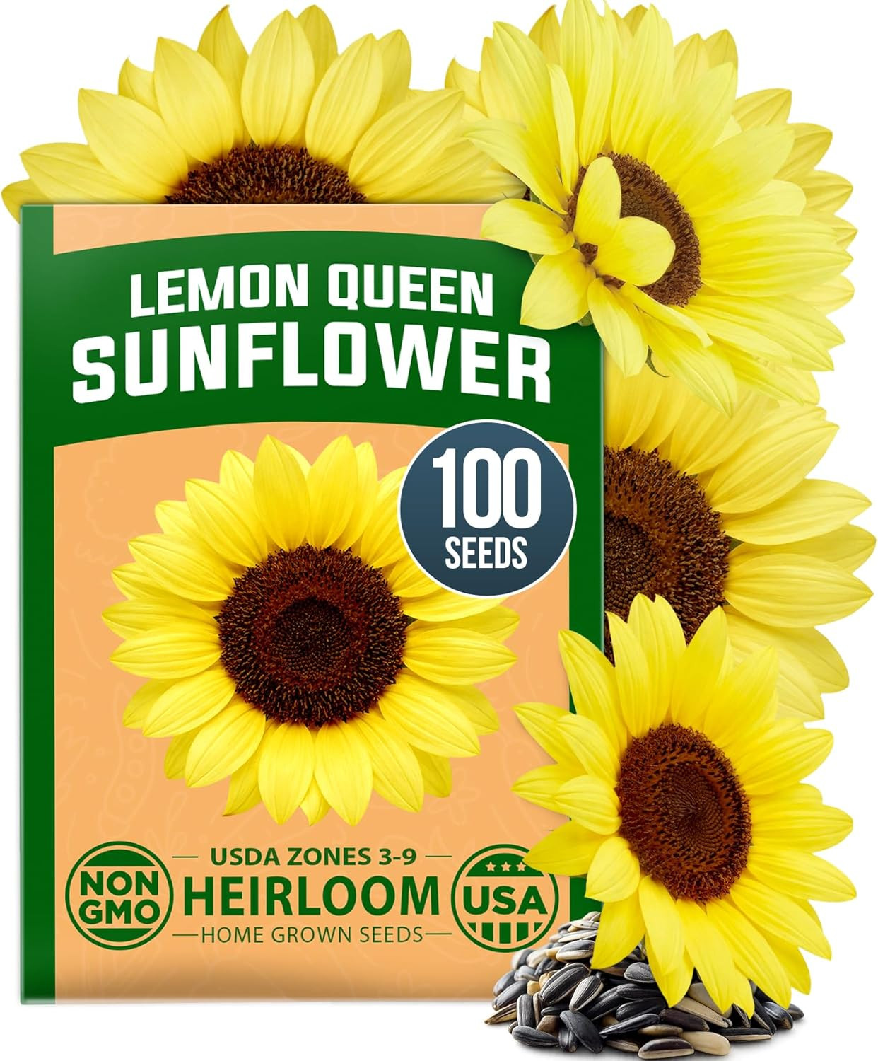 Lemon Queen Sunflower Seeds for Planting Outdoors – 100 Heirloom