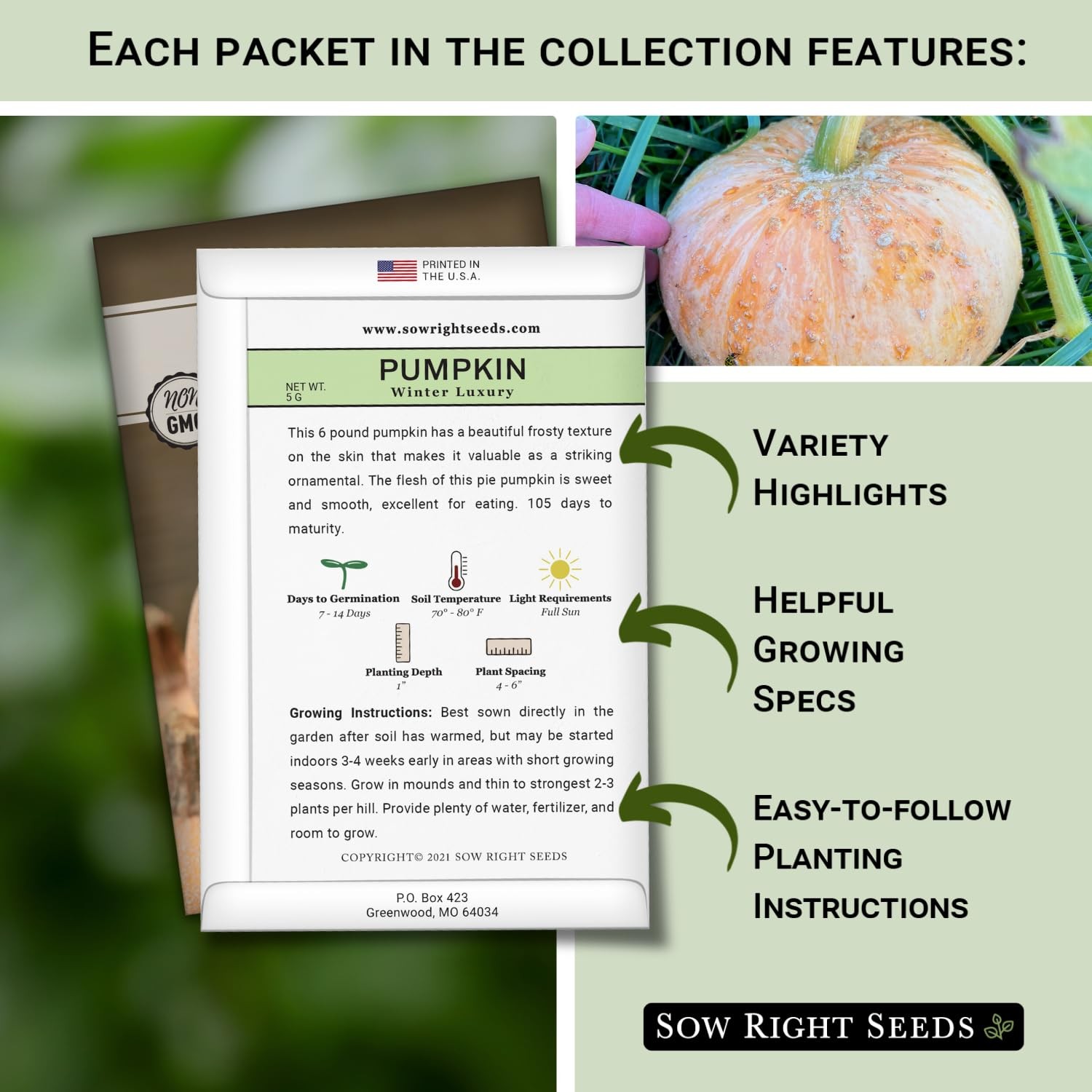 Decorative Pumpkin Seed Collection Jarrahdale, Galeux d’Eysines, Winter Luxury