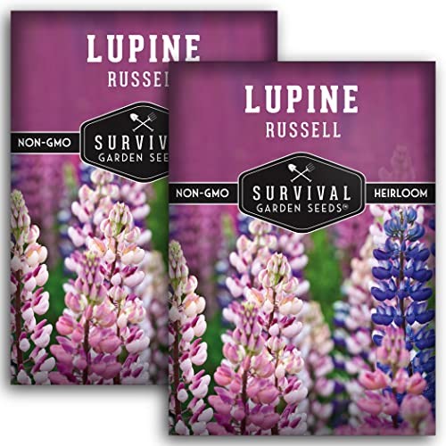 – Russell Lupine Seed for Planting – Packs with Instructions to Plant and 2