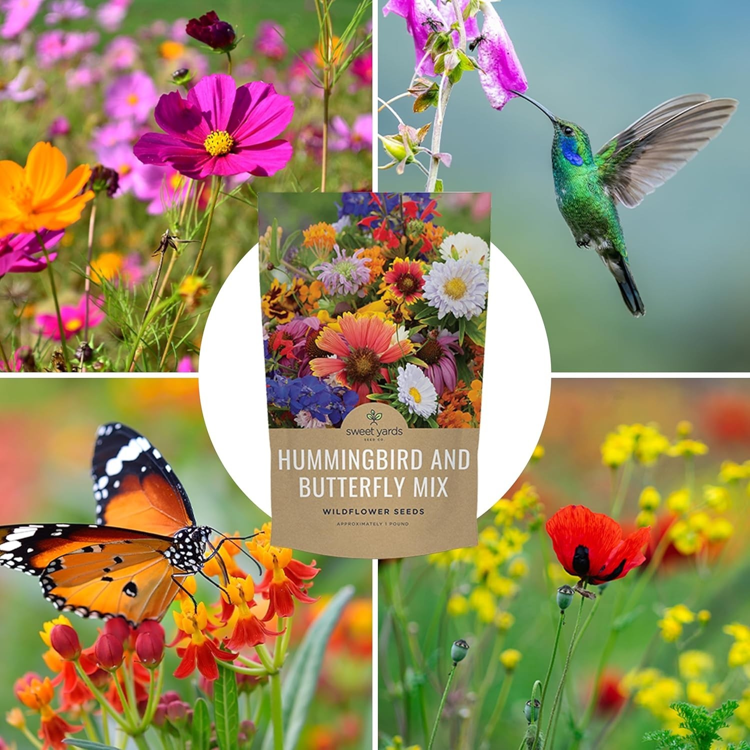 Wildflower Seeds Mix – 1lb Bag, 120K Seeds