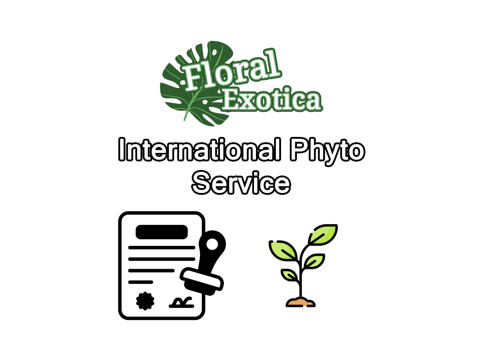 Phyto Certificate – For International export from the USA