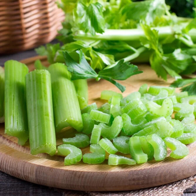 Tendercrisp Celery Seeds (300) / ORGANIC / FLORIDA GROWN