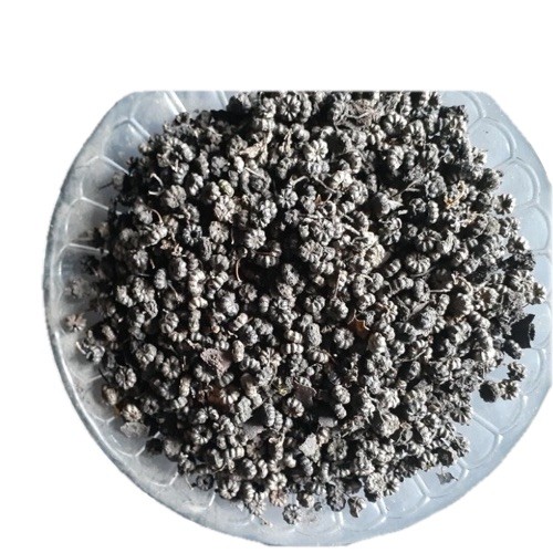 AMERICAN POKEWEED Phytolacca Americana Dried Seeds Folk Toxic edible Poke Salet
