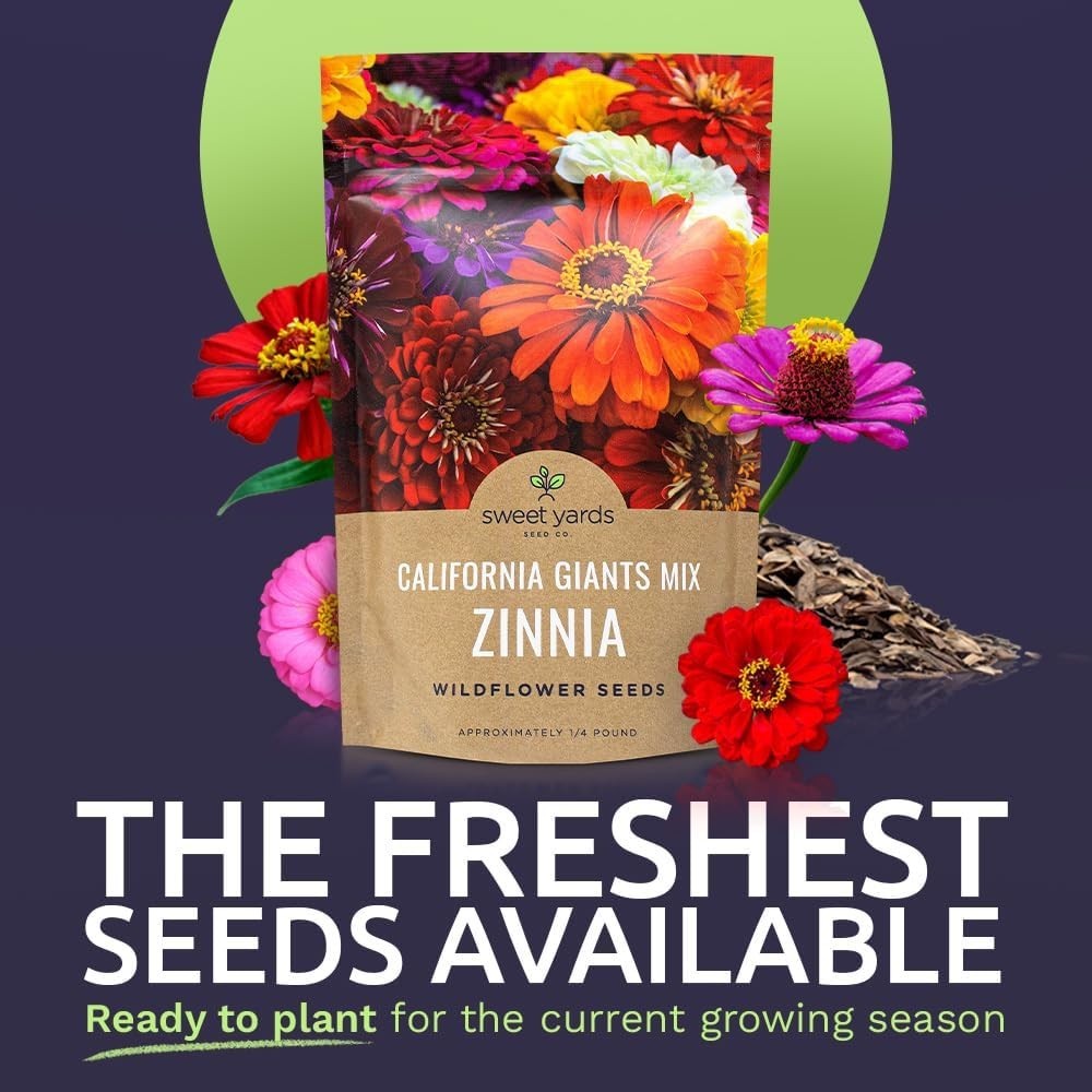 Bulk Zinnia Seeds – California Giants Mix – Bulk 1/4 Pound Bag Over 12,000 Fl…