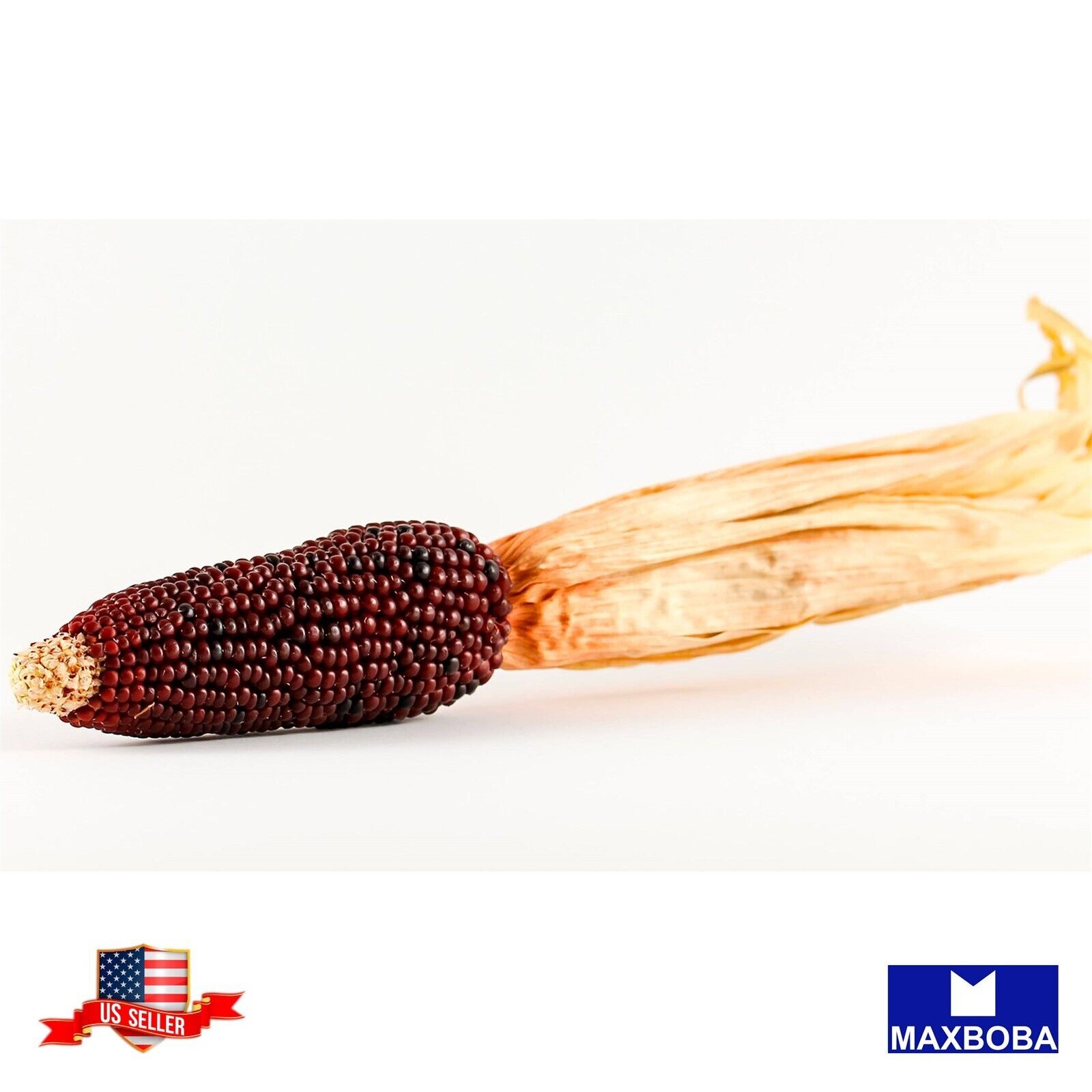 Premium Fresh 400 Seeds Corn Ornamental Indian Non-GMO Heirloom Vegetable Garden