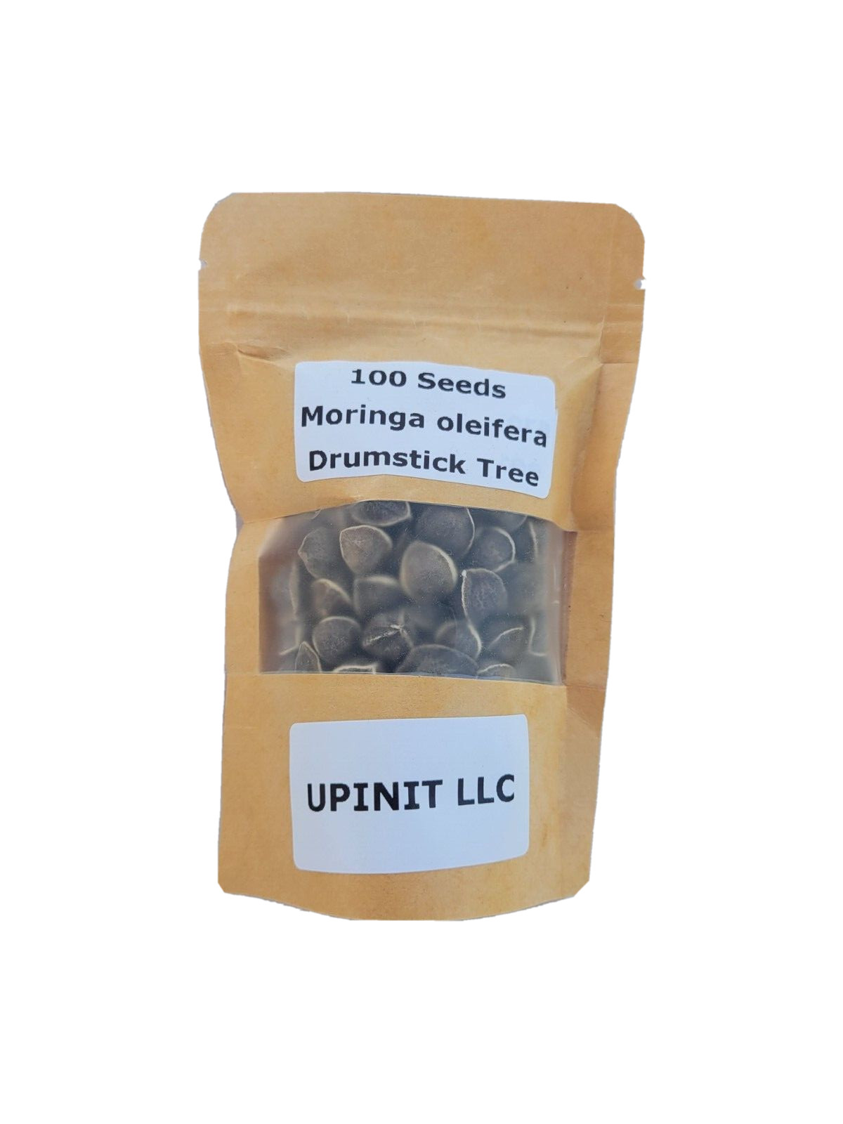 Moringa Seeds 1.3 oz (100+ seeds) drumstick tree (Moringa Oleifera)