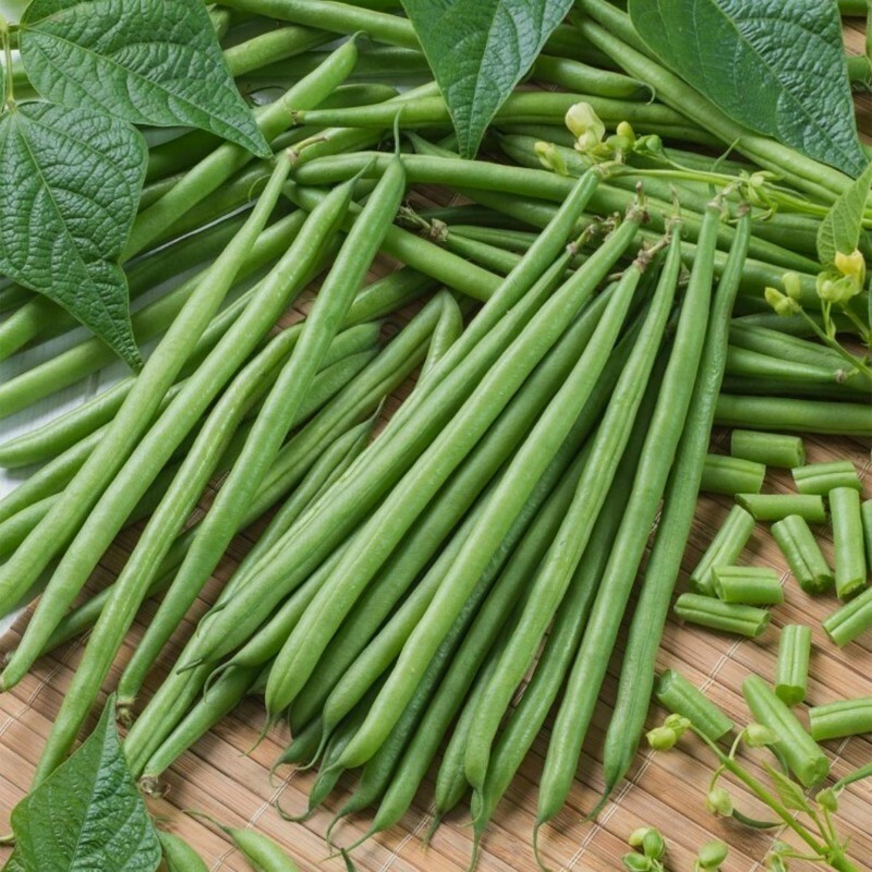 Topcrop Green Bean Seeds 50 Ct Bush Snap Vegetable Garden Heirloom NON-GMO USA