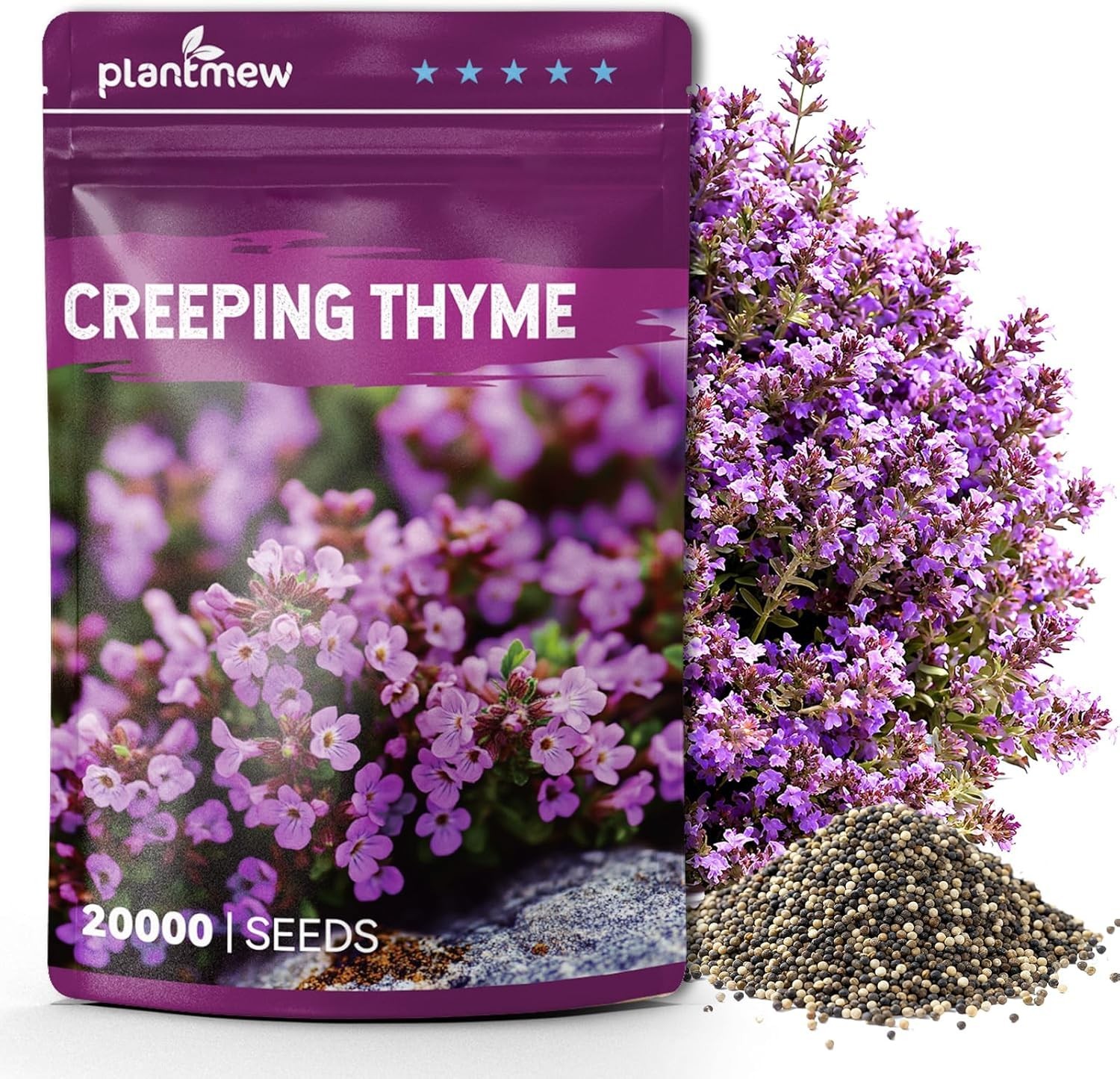 PLANTMEW 20000+pcs Creeping Thyme Seeds for Planting – Non-GMO Ground Purple