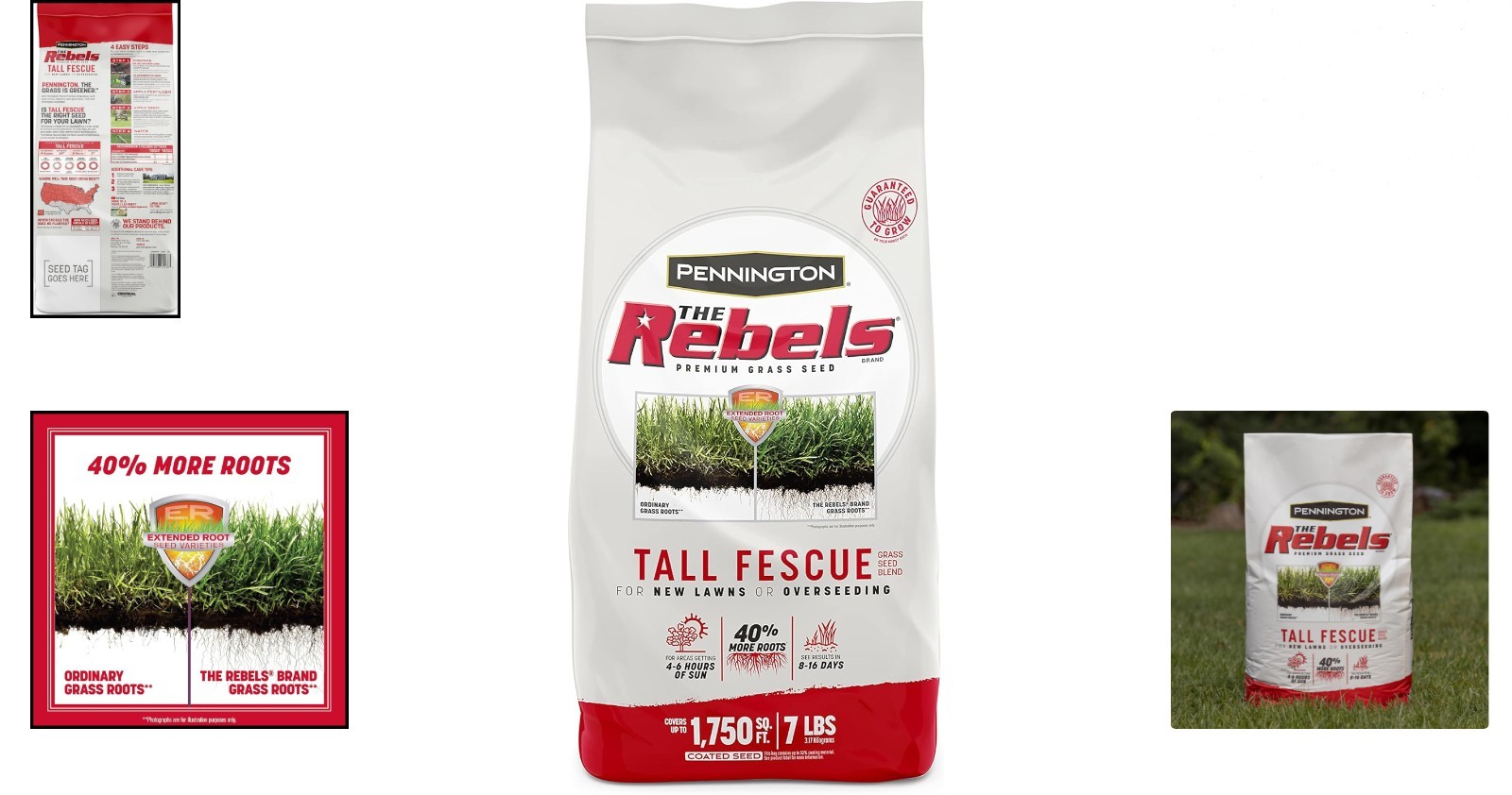The Rebels Tall Fescue Grass Seed Mix, 7 lb – Drought Resistant for Strong Roots