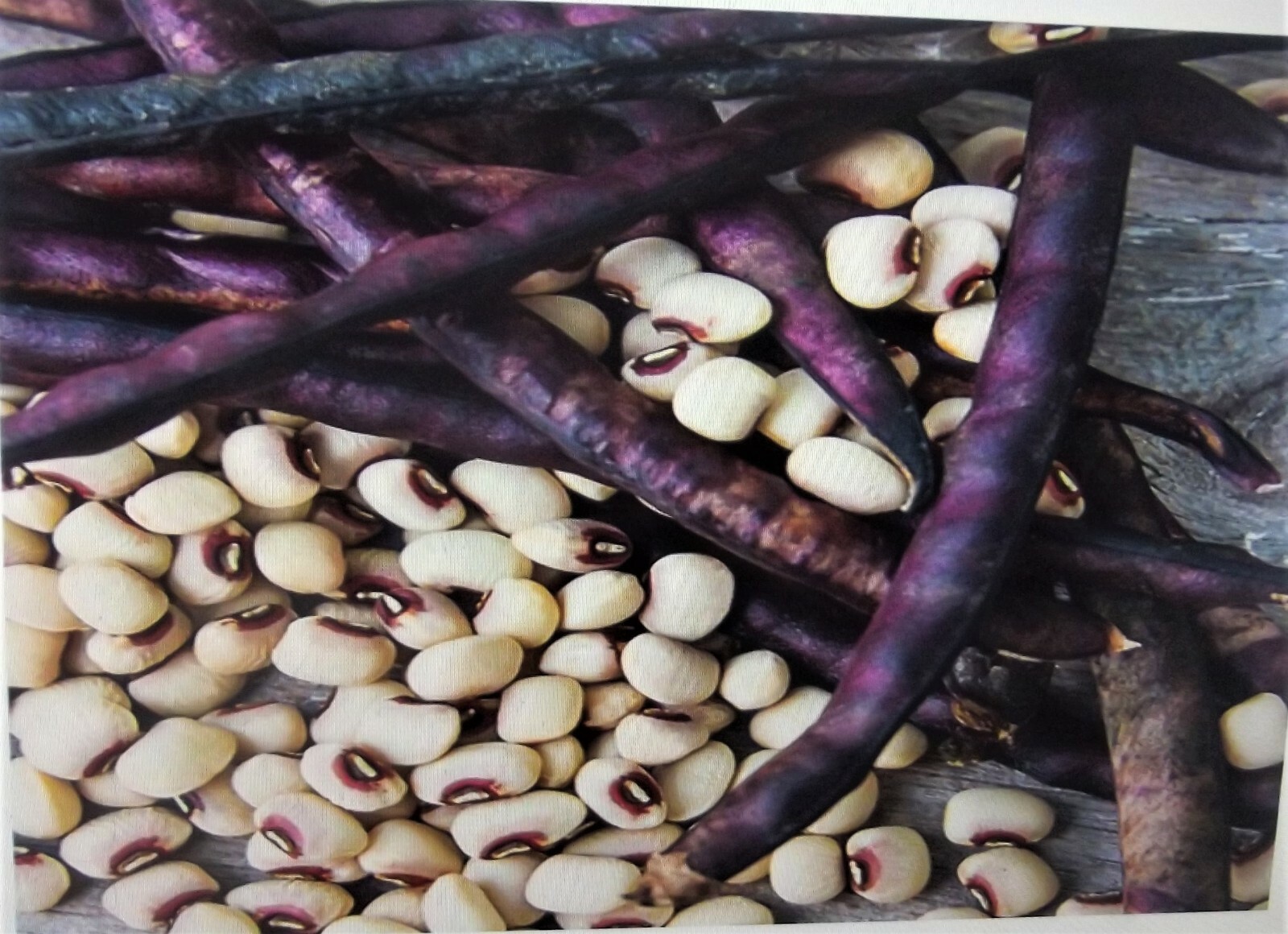 1 Lb Pinkeye Purple Hull BVR Cowpeas Benefits St. Jude