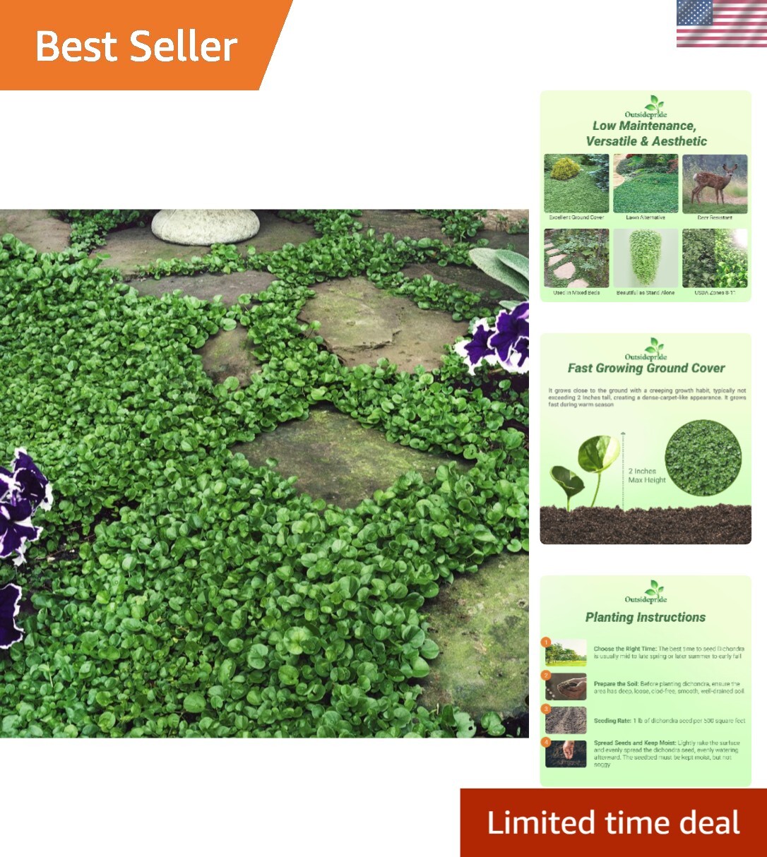 2 lbs Perennial Dichondra Repens Seeds – -Round Dense Green Lawn Alternative