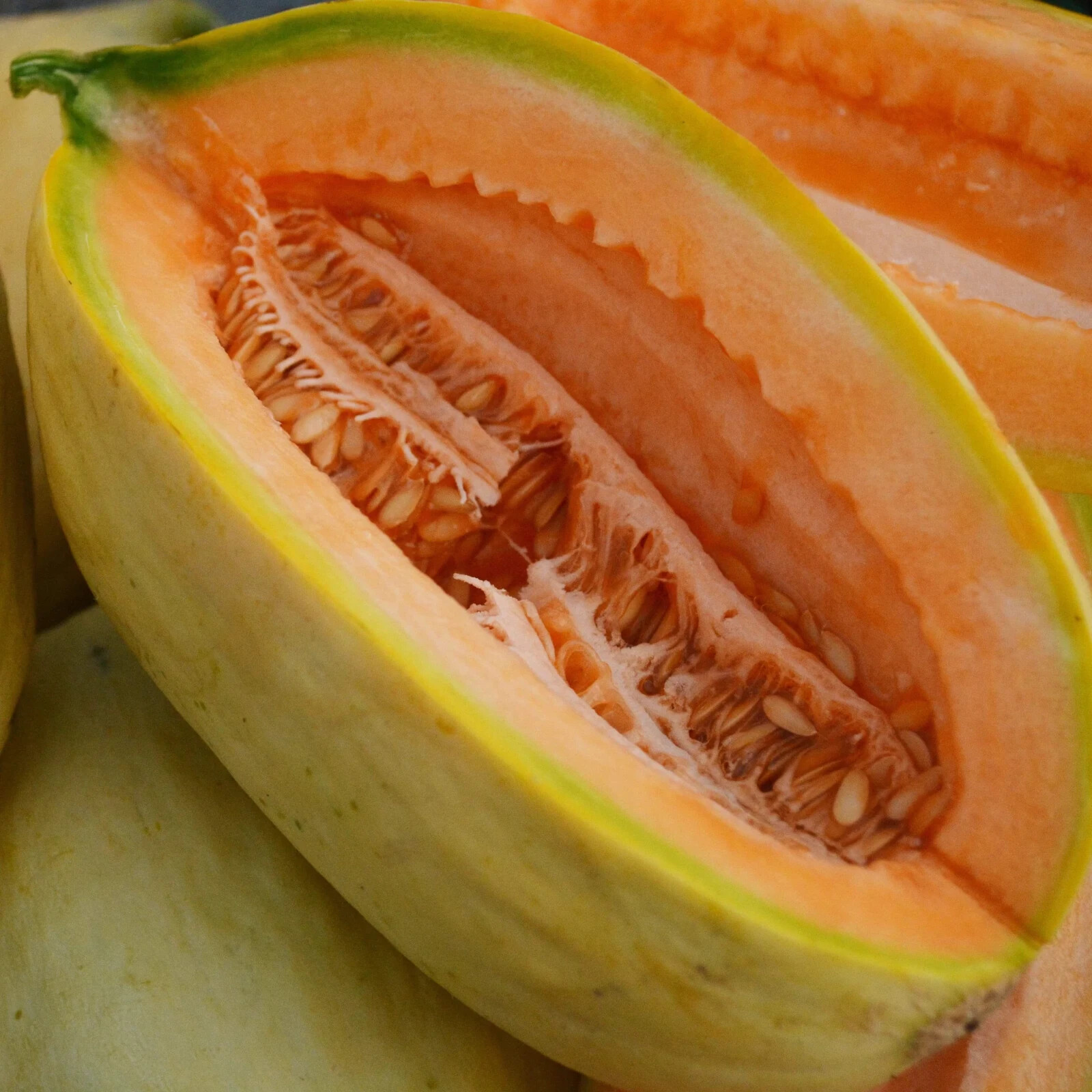 30+ Banana Melon Seeds, Banana Cantaloupe, Aromatic, NON-GMO, FREE SHIPPING #92