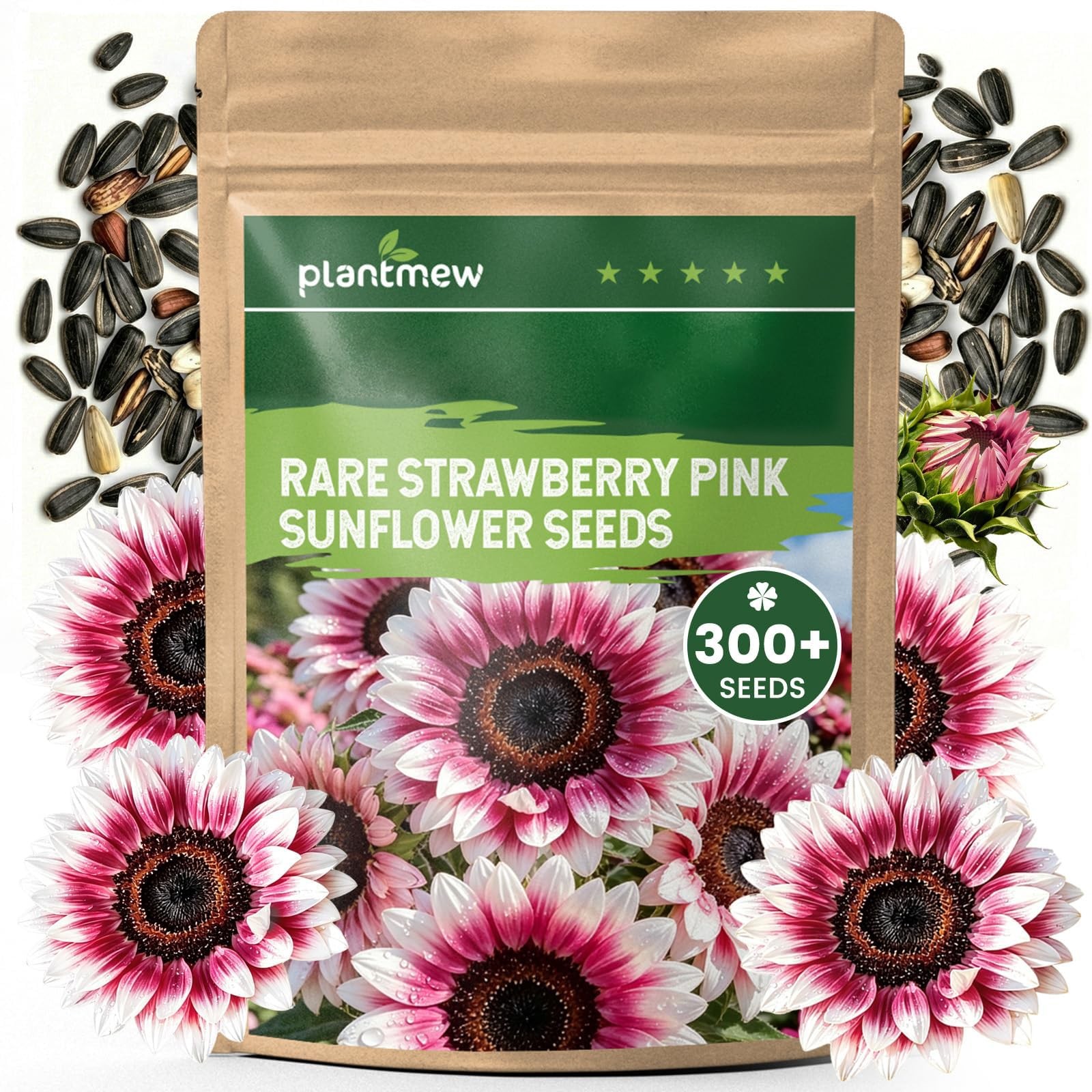 300+ Sunflower Seeds for Planting – Rare Strawberry Pink Sunflower Seeds Orna…