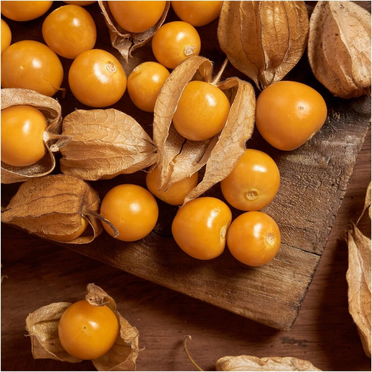 Peruvian Ground Cherry Seeds (50) / CAPE GOOSEBERRY / ORGANIC / FLORIDA GROWN