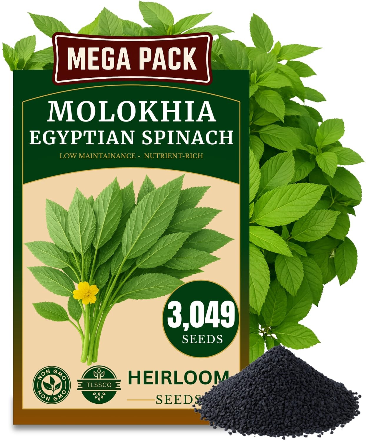 3000+ NonGMO Egyptian Spinach Seeds, FastGrowing, HighYield, Heirloom