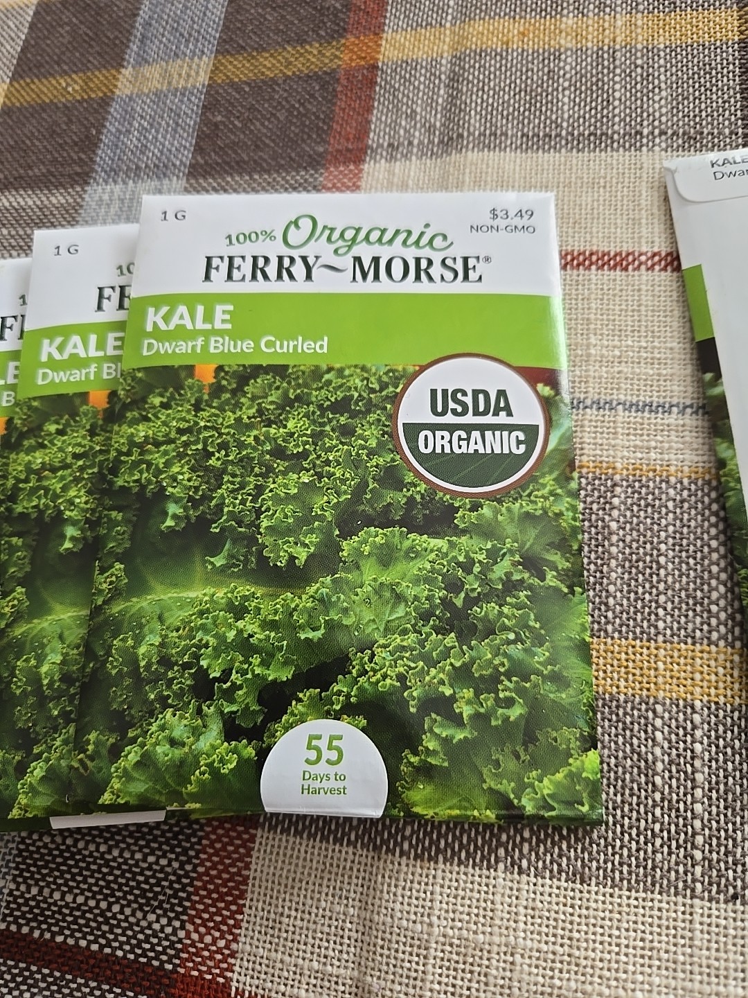 Ferry-Morse 2025 Seed Kale Dwarf Blue Curled Organic 1G