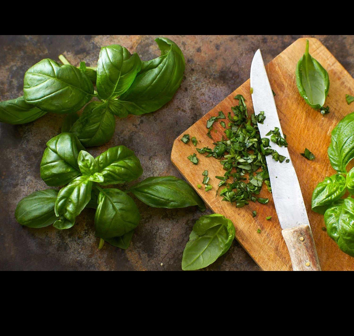 Genovese Basil Seeds 🍀| NON-GMO Basil Seeds | Fresh Heirloom Garden Seeds📍100+