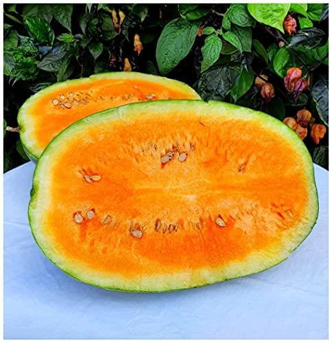 25+ Tendersweet Orange Watermelon Seeds, GMO Free