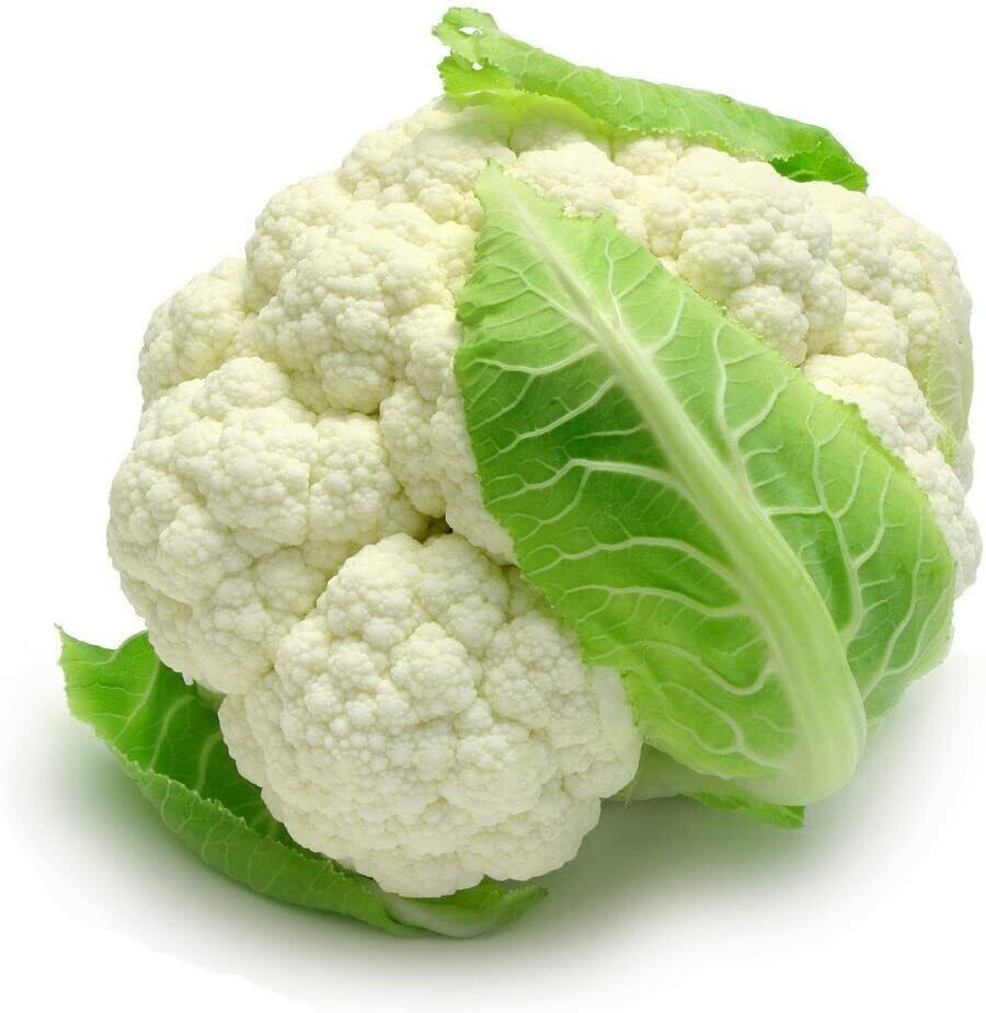 SELF BLANCHING CAULIFLOWER 250 SEEDS FRESH FOR 2024 GARDENS