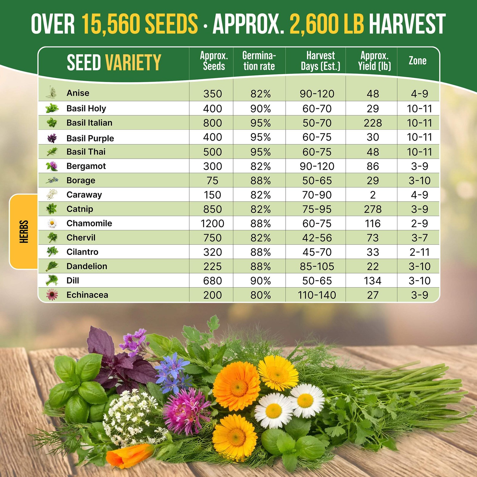 30 Herb Seeds – Medicinal & Tea Variety Pack